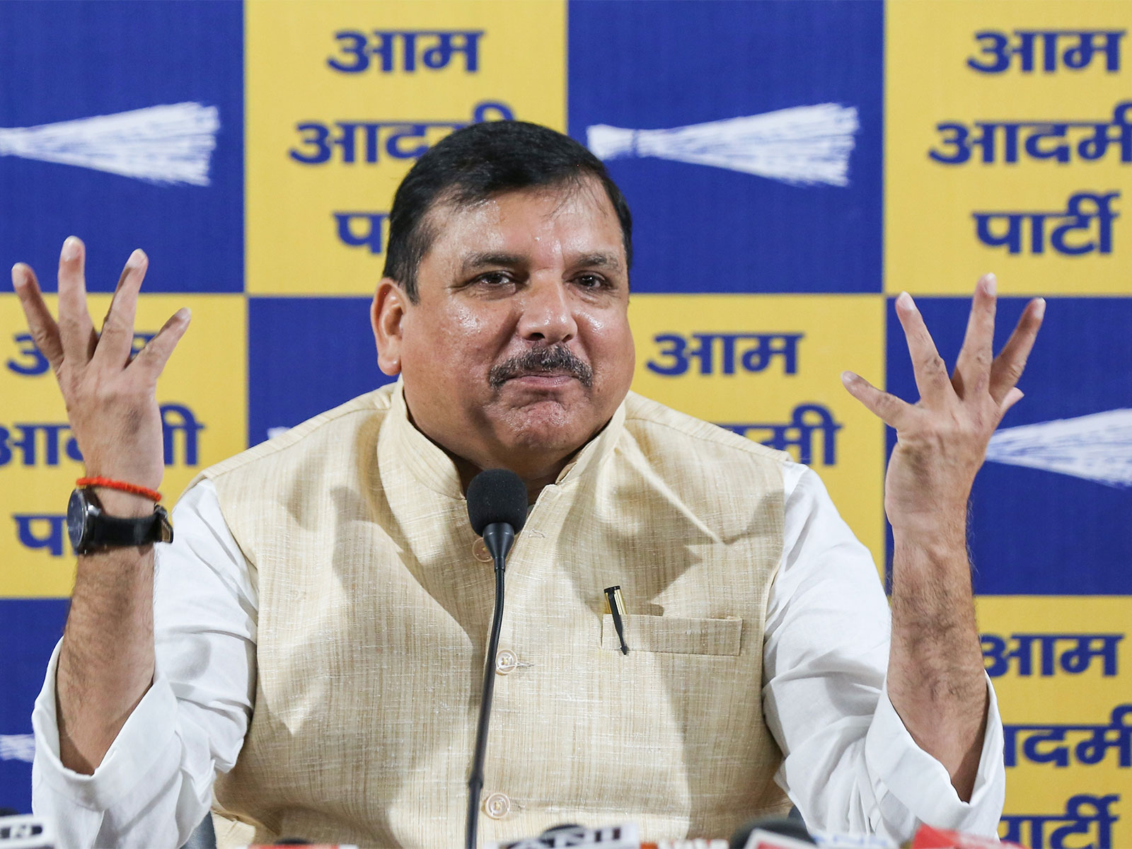 AAP MP Sanjay Singh (File Photo/ANI) 
