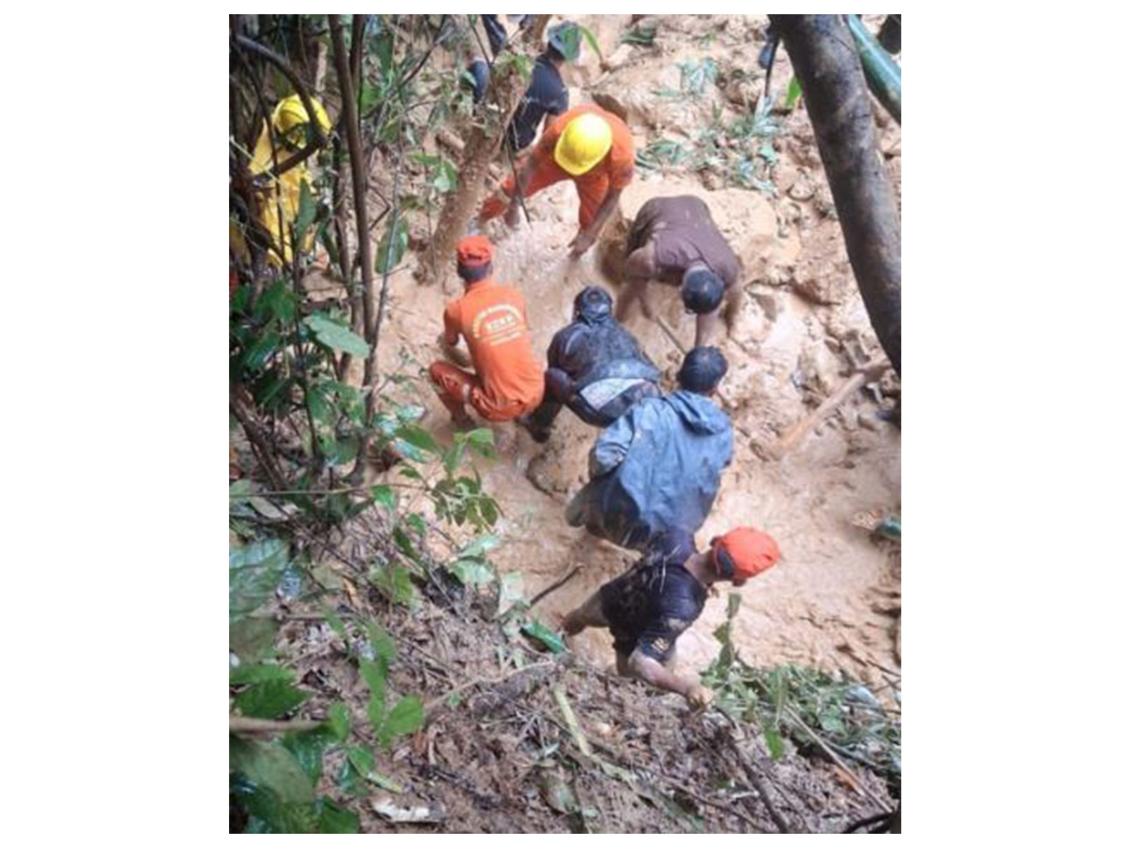 Rescue teams search for survivors after a landslide in Nagaland (File Photo/DIPR)