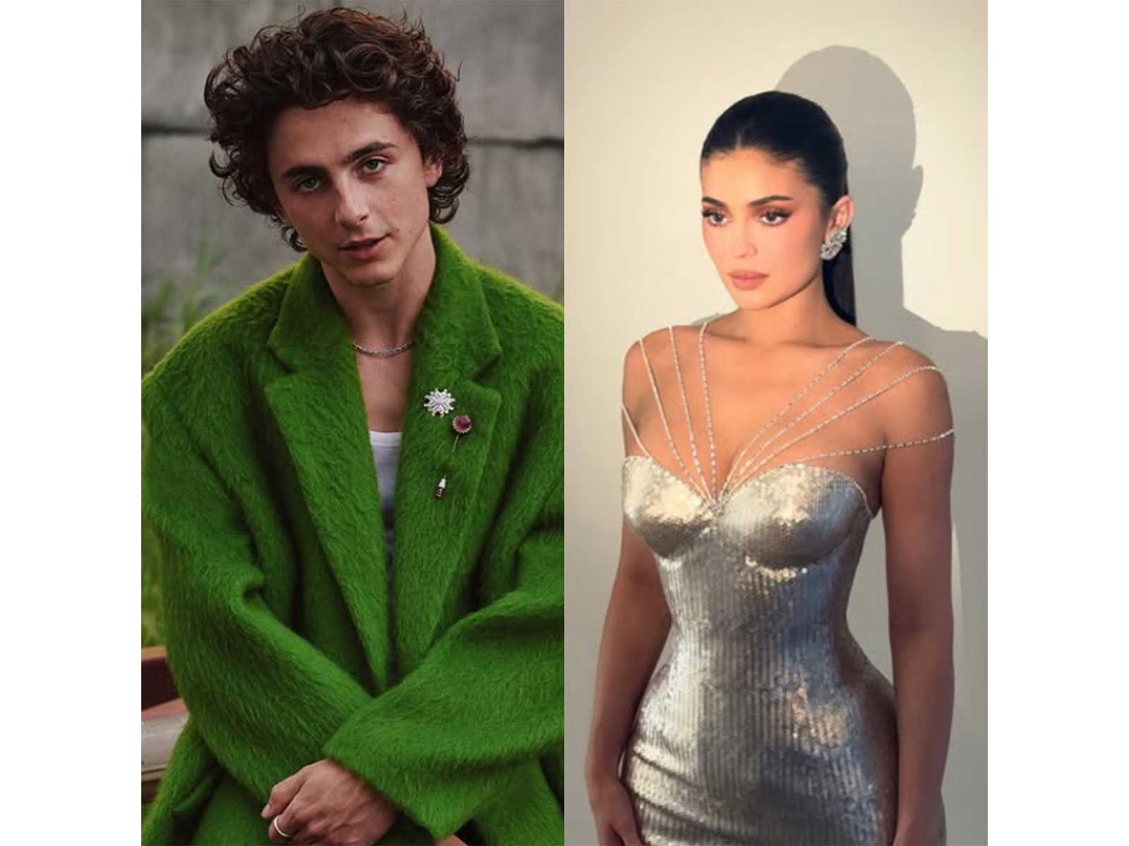 Timothee Chalamet , Kylie Jenner (Photo/Instagram/ @tchalamet, @kyliejenner)