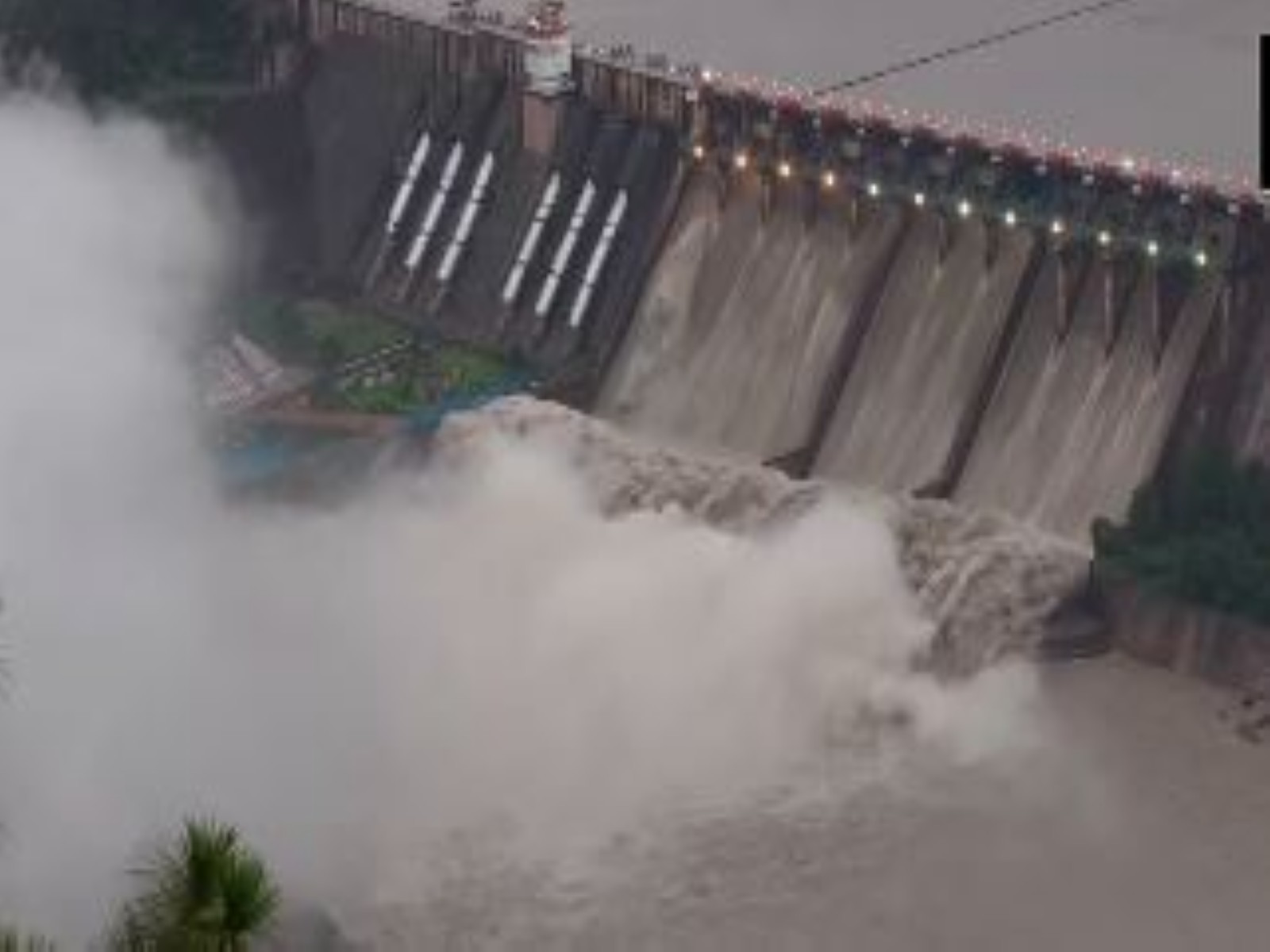 Salal dam reopened (Photo./ANI)