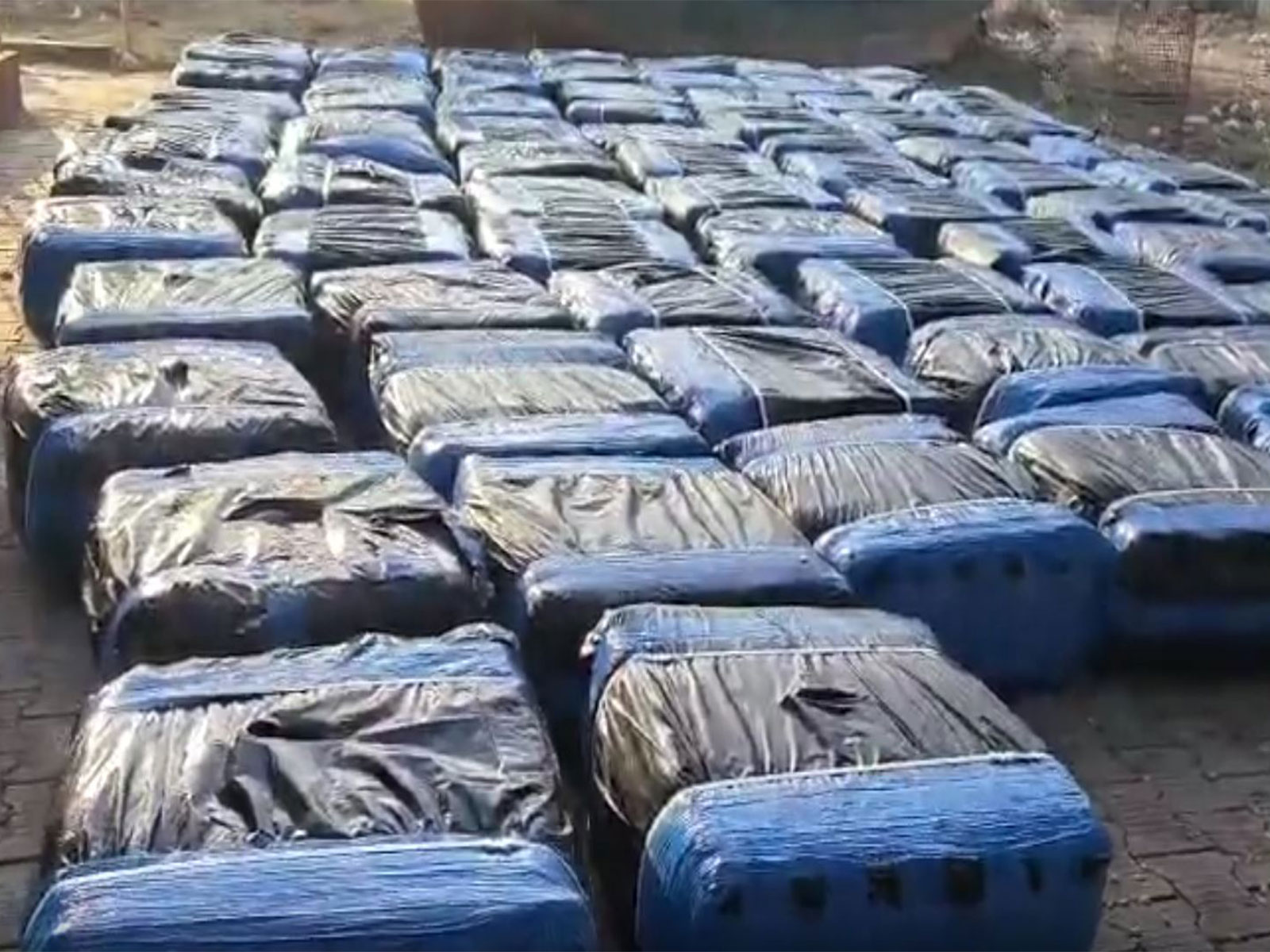Seized Beedi leaves (Photo/ANI)