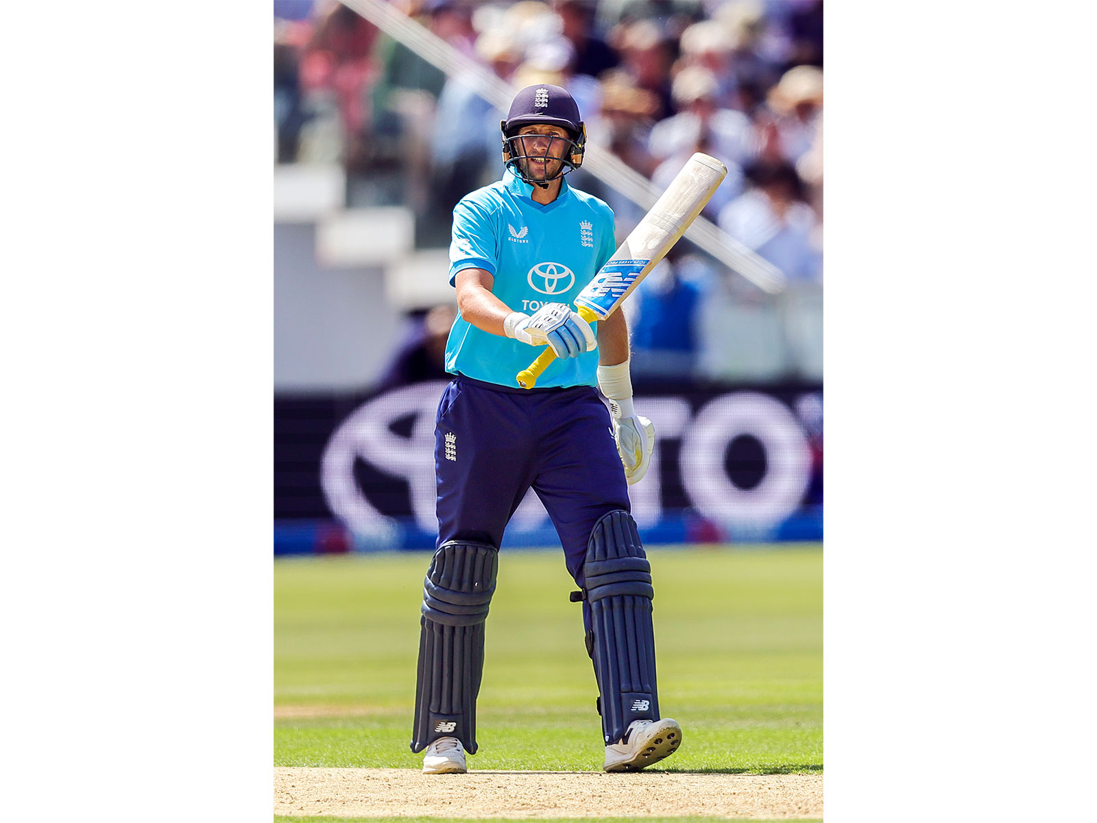 Joe Root (Photo: ANI)