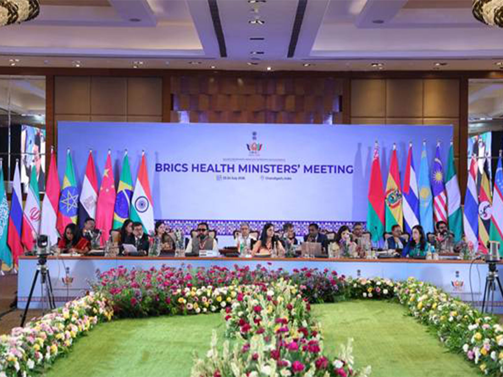 16th BRICS Health Ministers' meeting (Photo/Release)