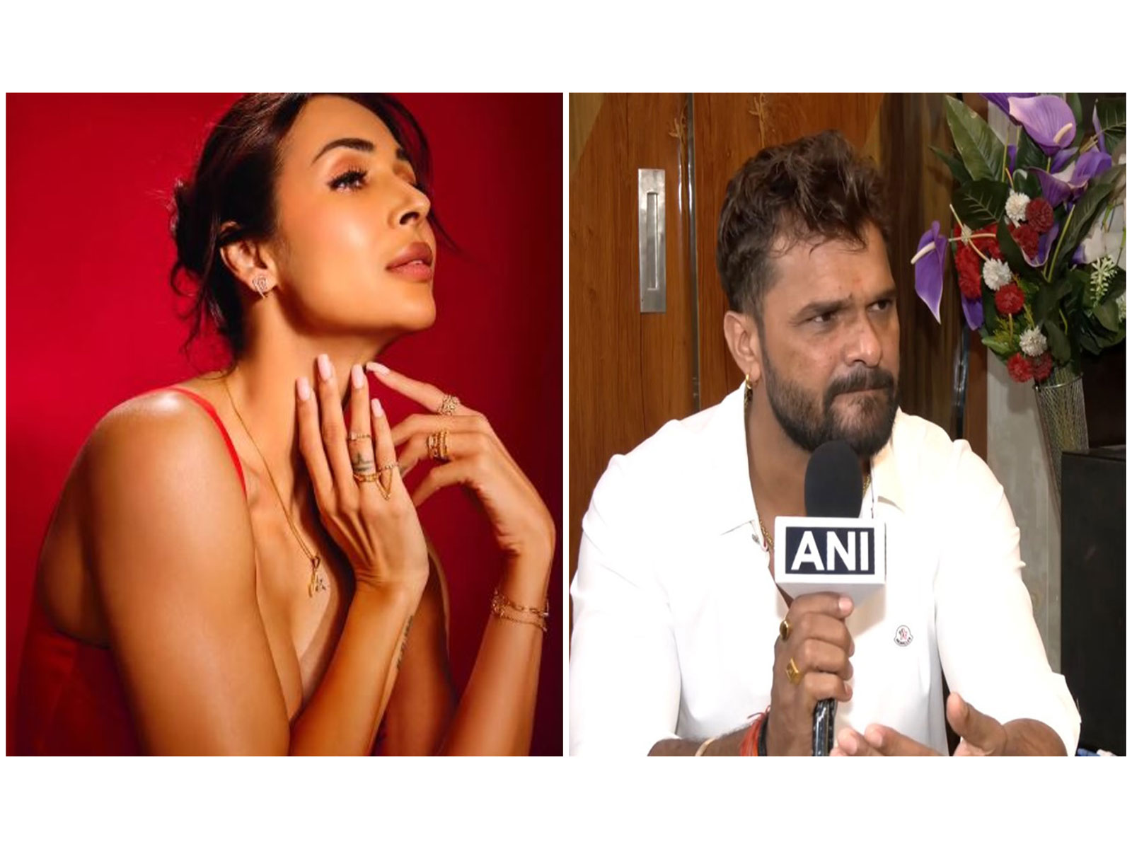 Malaika Arora,  Khesari Lal Yadav (Photos/instagram/@ malaikaaroraofficia/ANI)