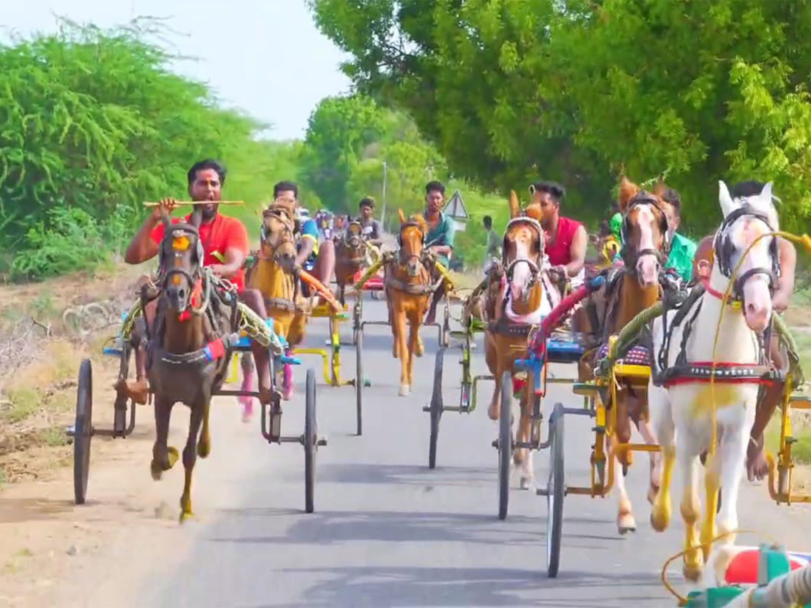 Horse cart race organised at Ariyanachi Temple in Rameswaram (Photo/ANI)