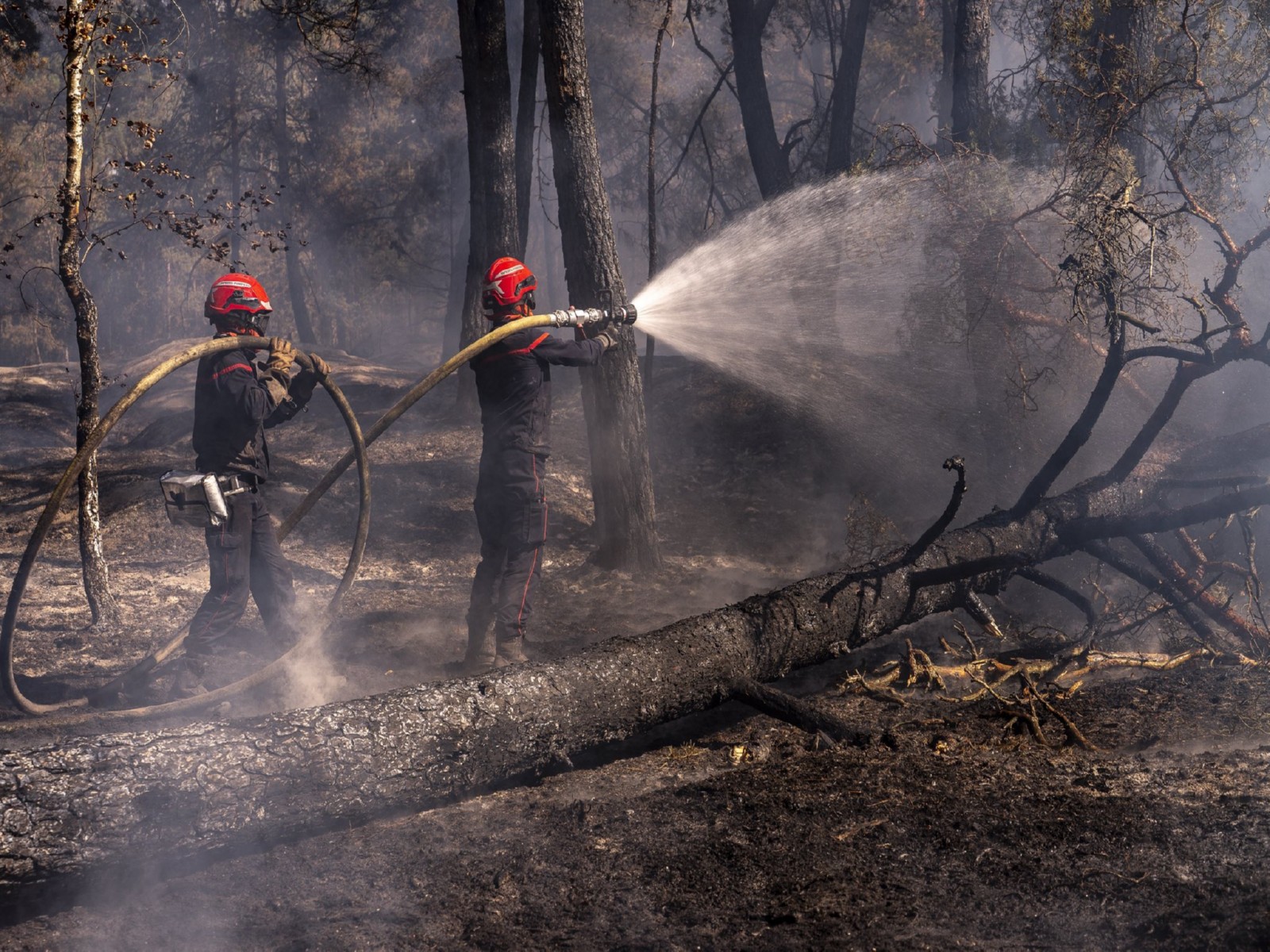 Firefighters extinguishing wildfires (Photo/X/@@EmmanuelMacron)