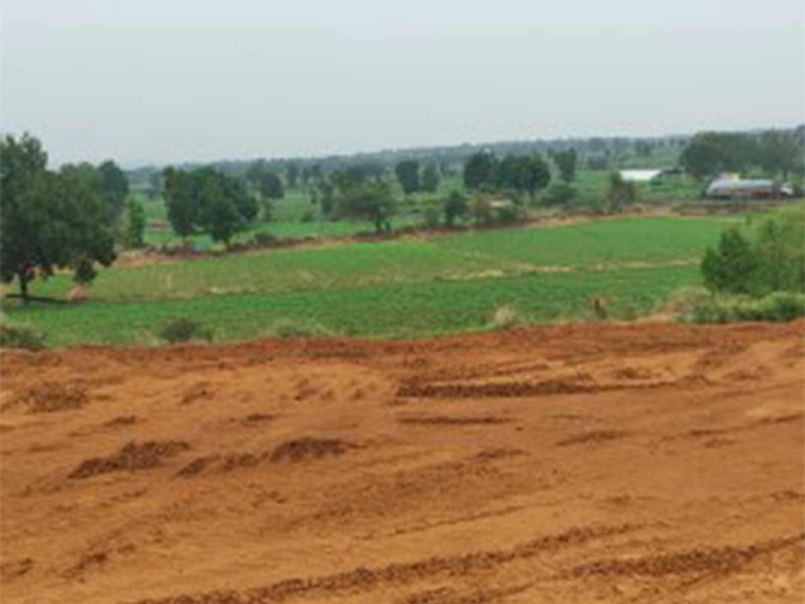 Gujarat govt increases assistance for levelling free residential plots allotted to rural homeless families (Photo:Gujarat/CMO)
