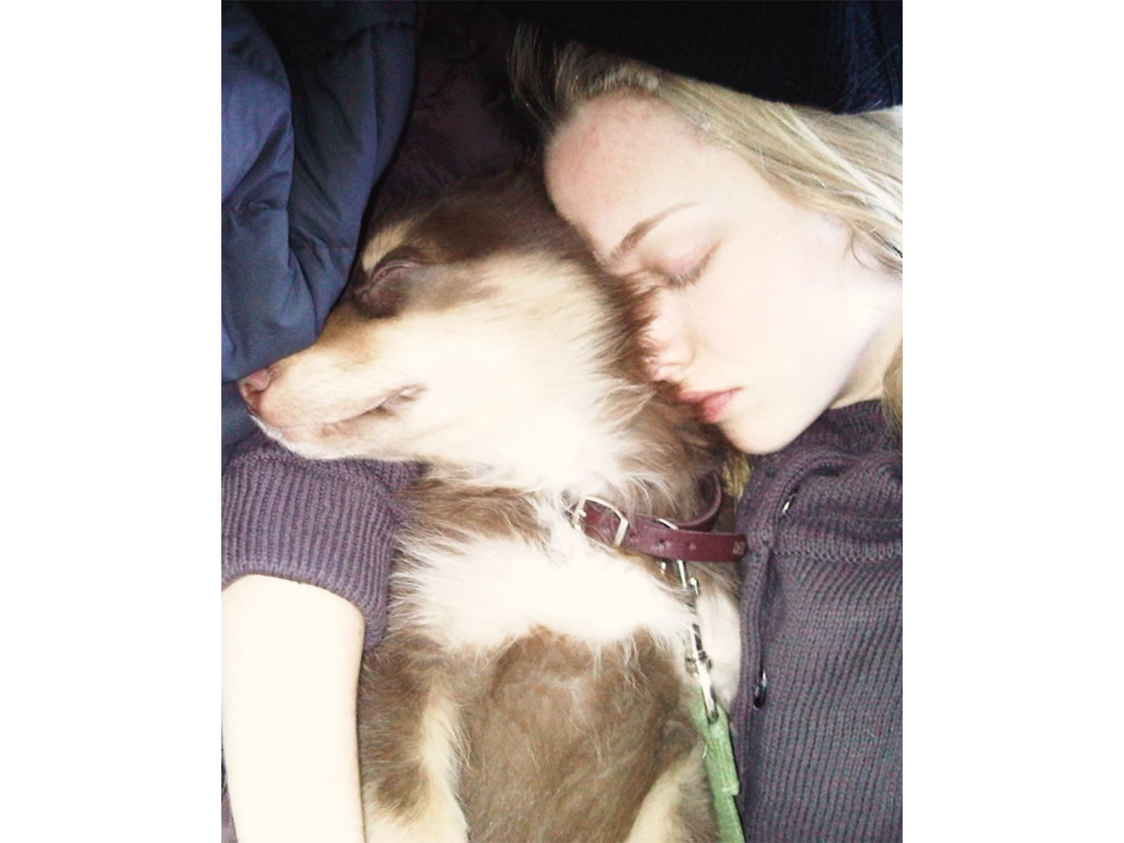 Amanda Seyfried with her dog Finn (Photo/Instagram/ @mingey)