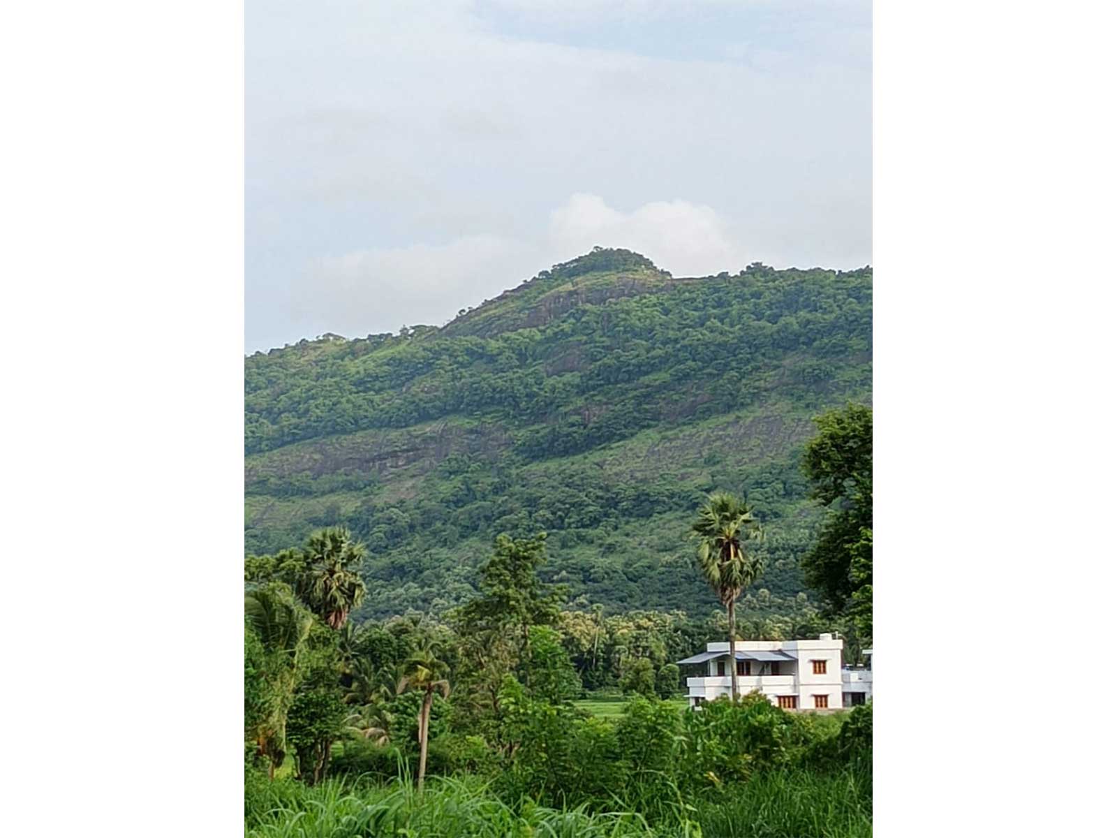 Beedumala hill range (Photo/Shri Ram Janmabhoomi Teerth Kshetra Trust)
