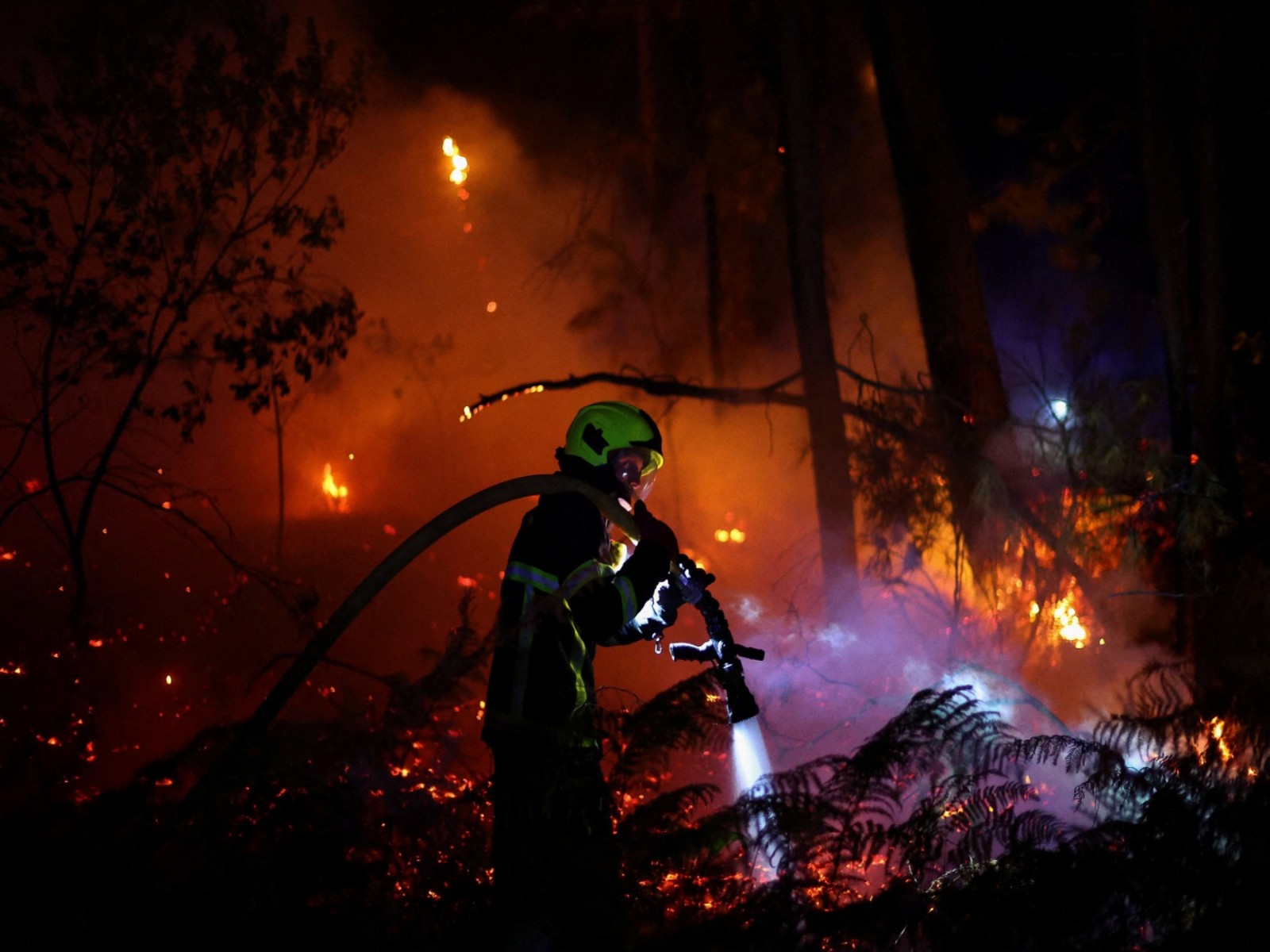 Firefighters engaged in dousing wildfires in France (Photo/Reuters)