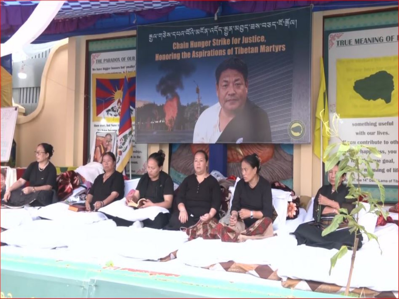 Visual from the Worldwide Chain Hunger Strike Protest Campaign by Tibetan Youth Congress in Dharamshala, Himachal Pradesh (Photo/ANI)
