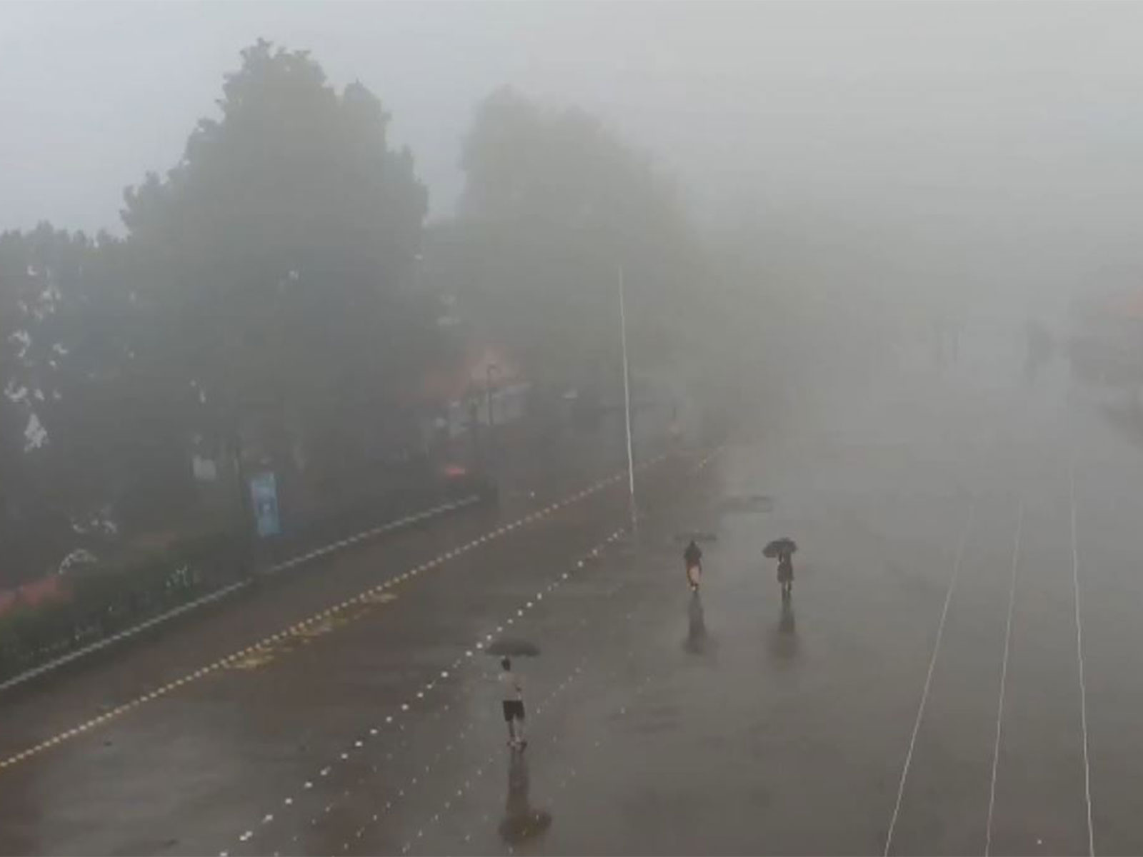 Dense fog in Shimla (Photo/ANI)