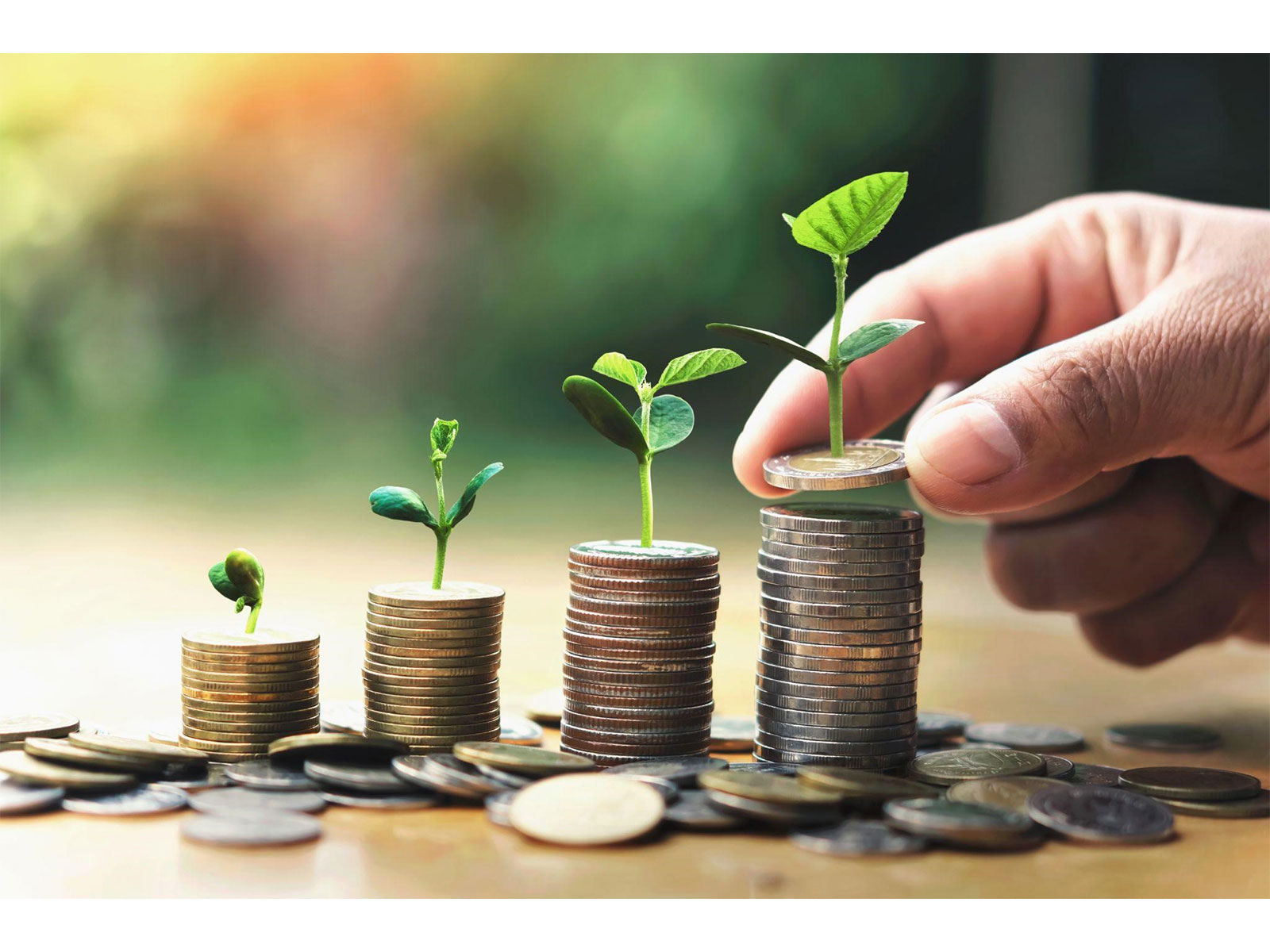 How Monthly SIPs Are Becoming the Preferred Wealth-Building Strategy