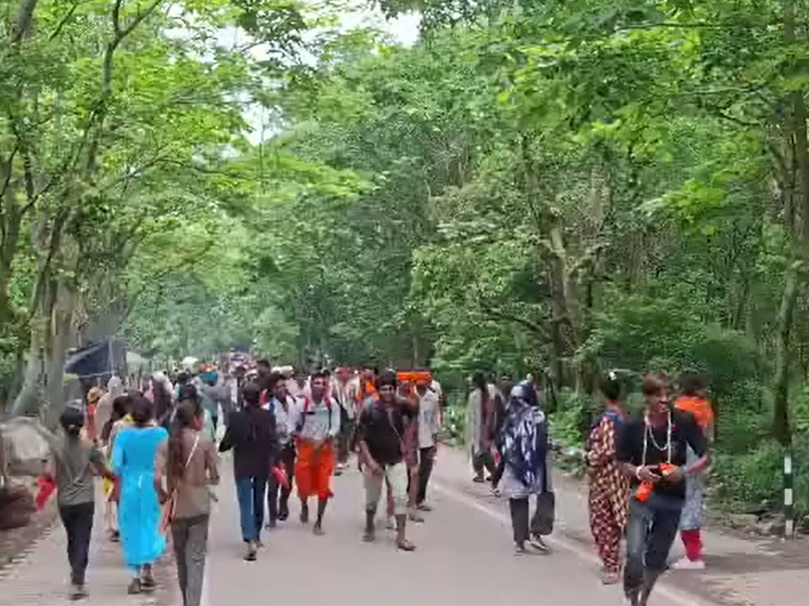 Kanwar Yatra (Photo/ANI)