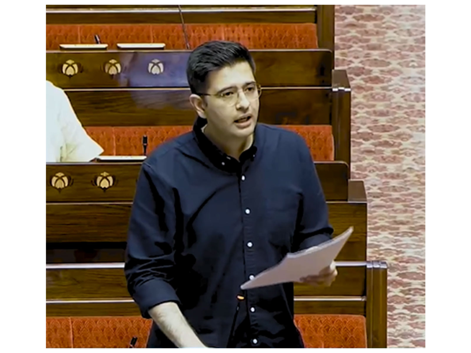 BJP MP Raghav Chadha (Photo/Sansad Tv)