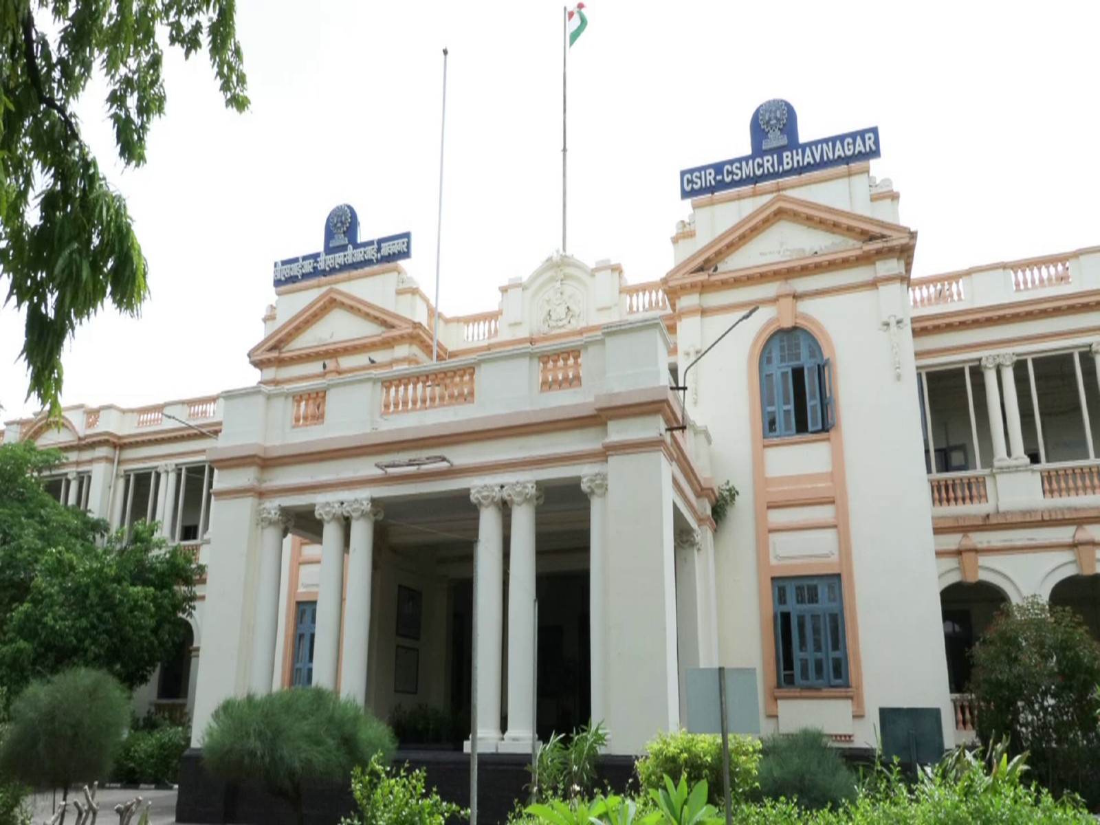 ujarat's CSMCRI scientists among world's top 5% researchers in SciRank Global Registry  (Photo/ANI)