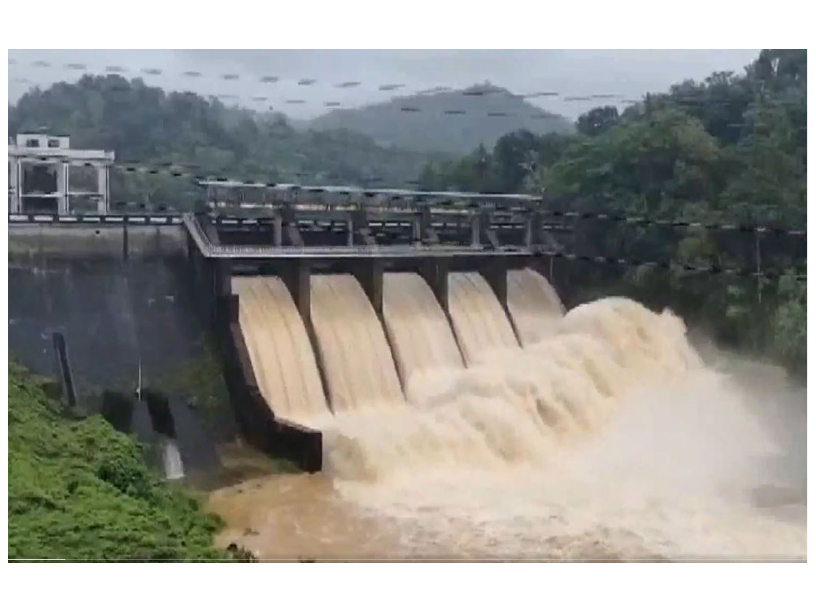 KSEB opens Kallarkutty Dam shutters after reservoir reaches maximum capacity in Idukki (Photo/ANI)