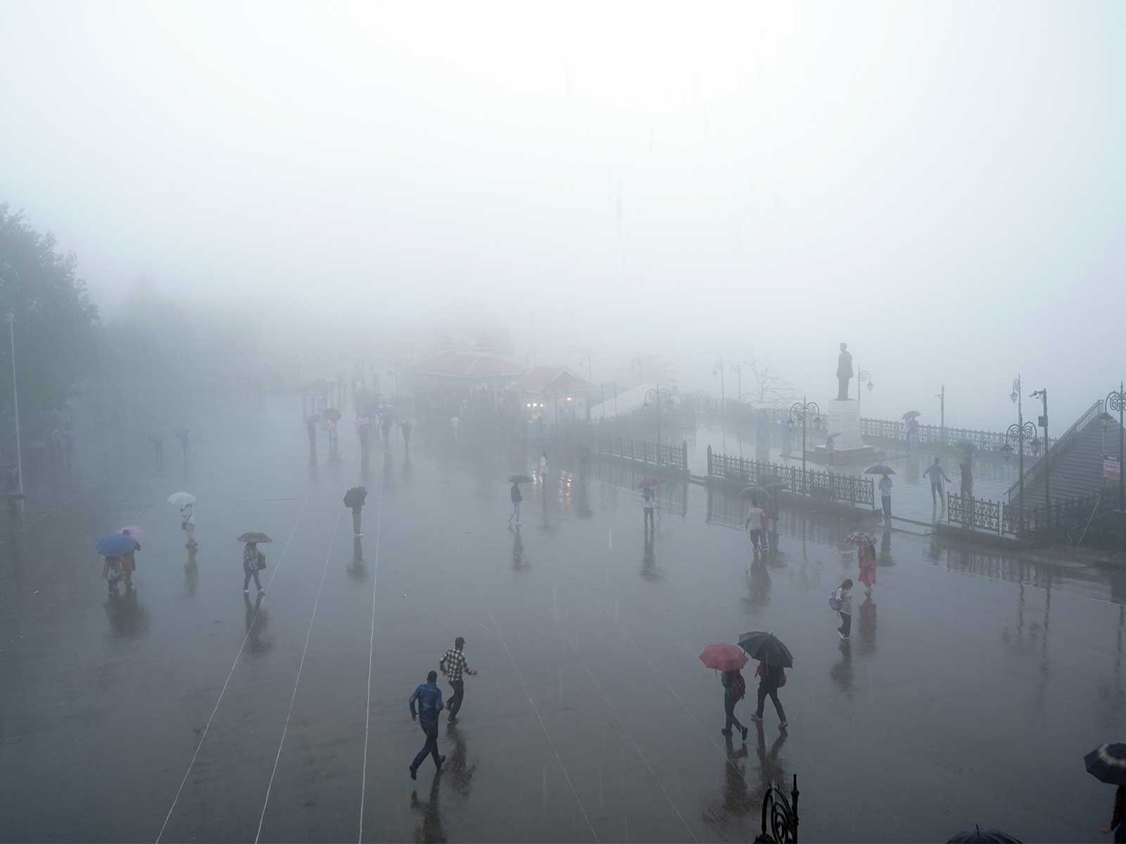 People walk through a rain-slicked road while protecting themselves from rainfall, in Shimla on Saturday (Photo/ANI)