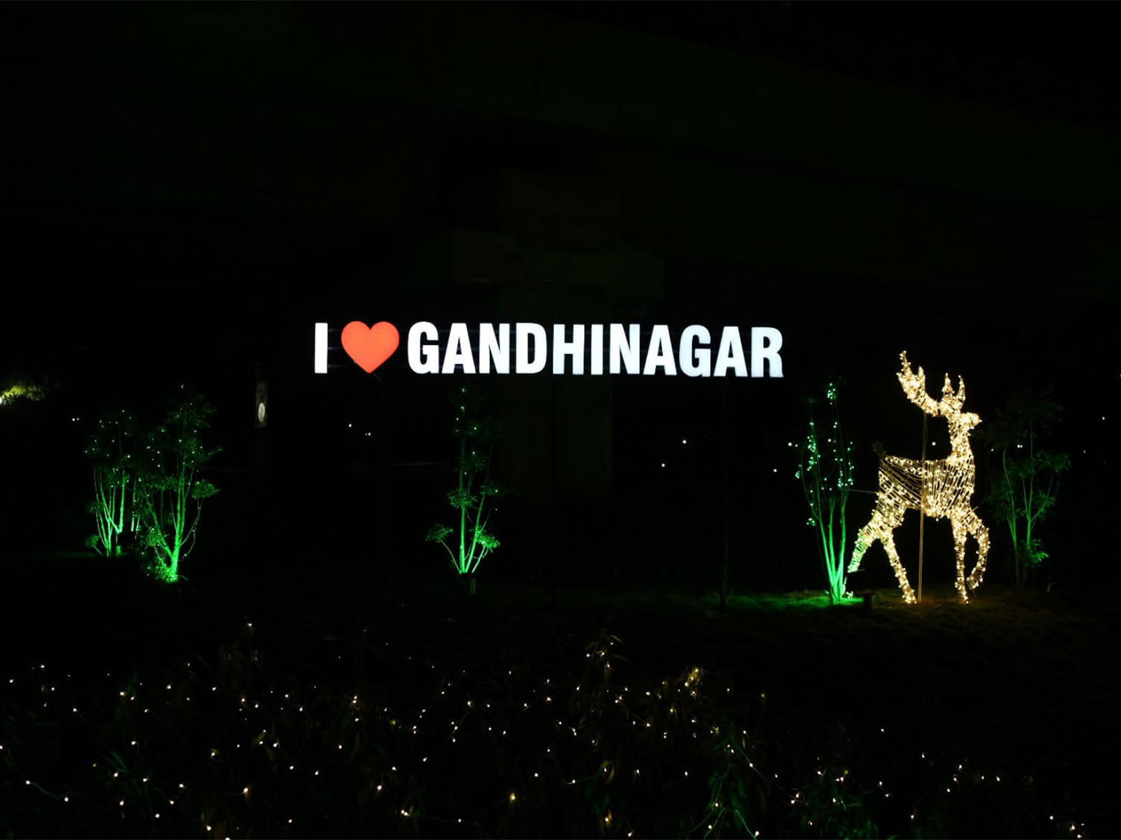 Representative image (Photo/Gujarat CMO)