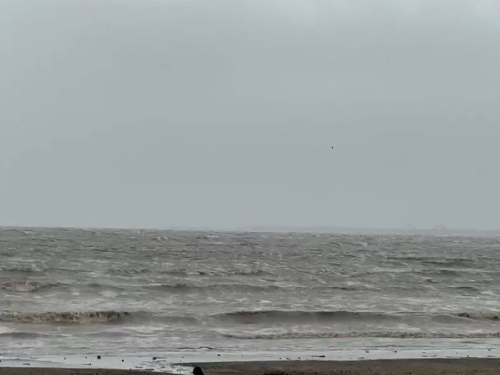 Surat police extends closure of Dumas Beach till August 7 (Photo/ANI)  