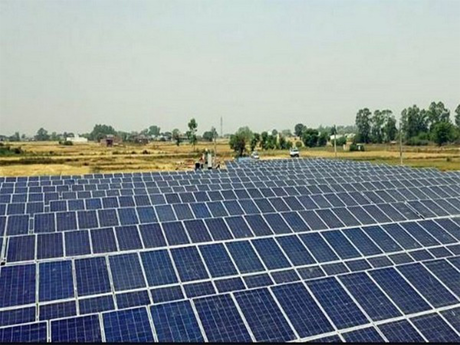 Representative Image (Photo/ANI)