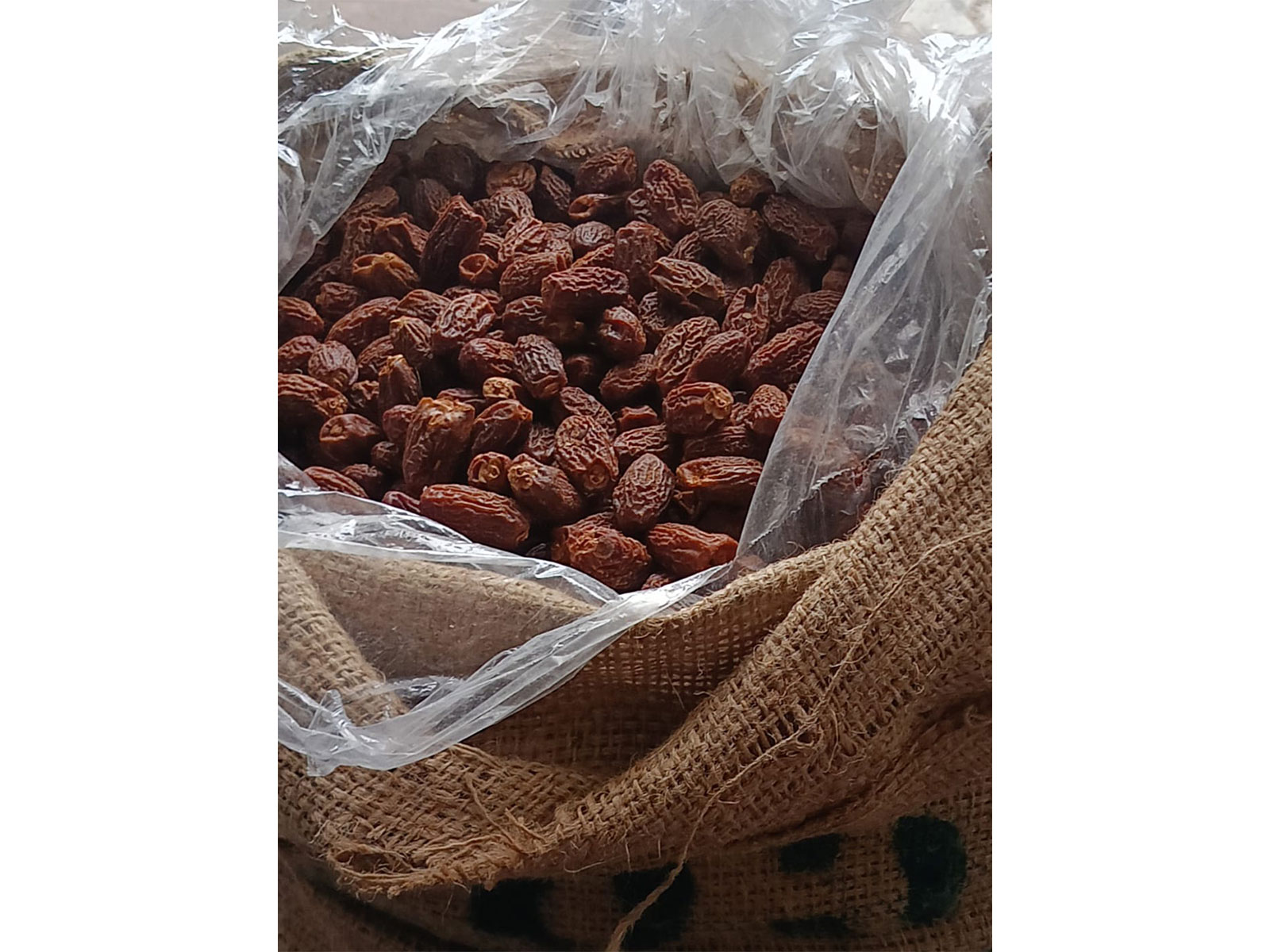 DRI seized Pakistan-Origin dry dates (Photo/ANI)