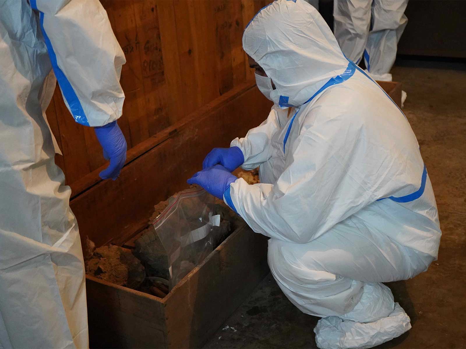 Experts at Banaras Hindu University (BHU) conduct a genetic analysis of a human skeleton found during the Rajghat excavation. (Photo/@bhupro)