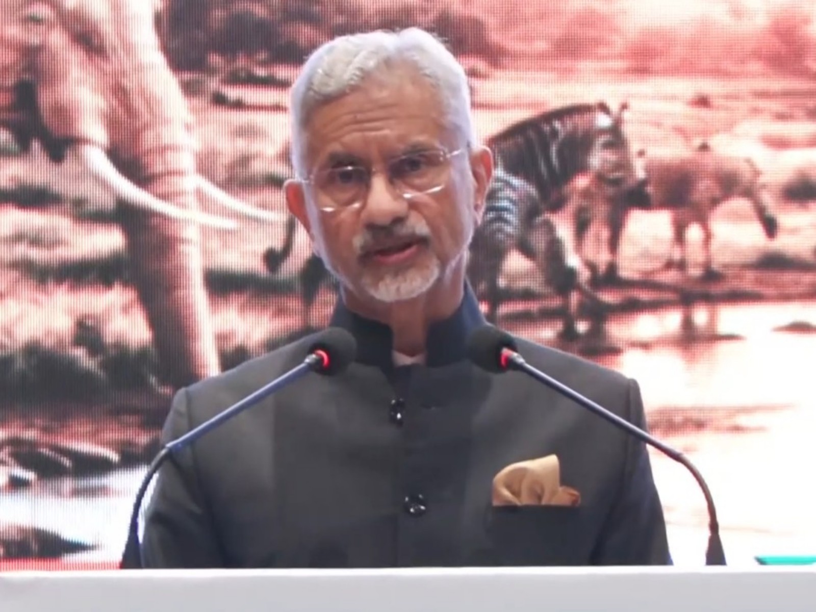 External Affairs Minister S Jaishankar (Photo/X/@DrSJaishankar)