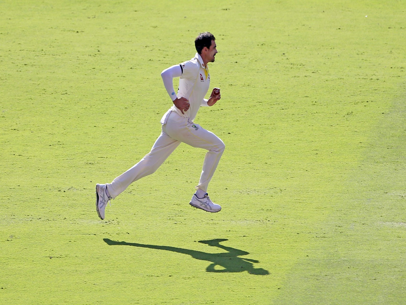 Australian seamer Mitchell Starc (Photo: ANI)