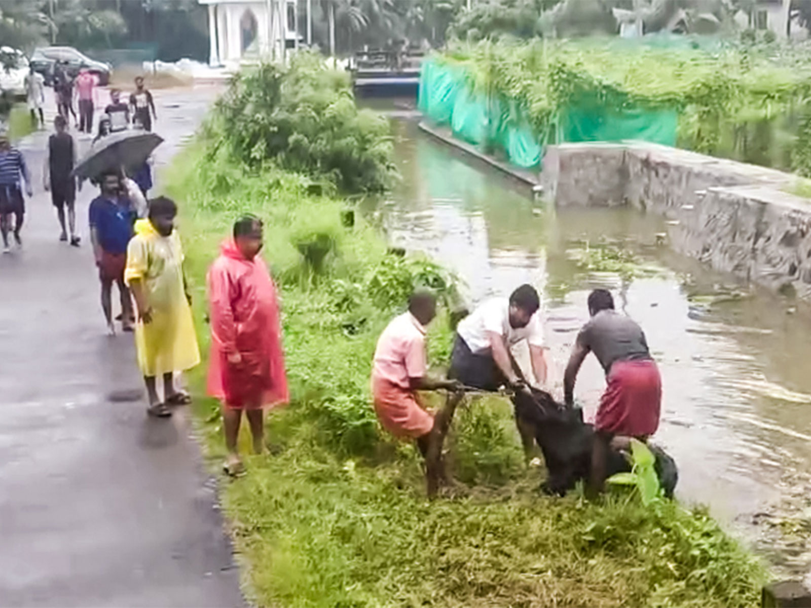 Rescue operations underway in flood affected Alappuzha (Photo/ANI)