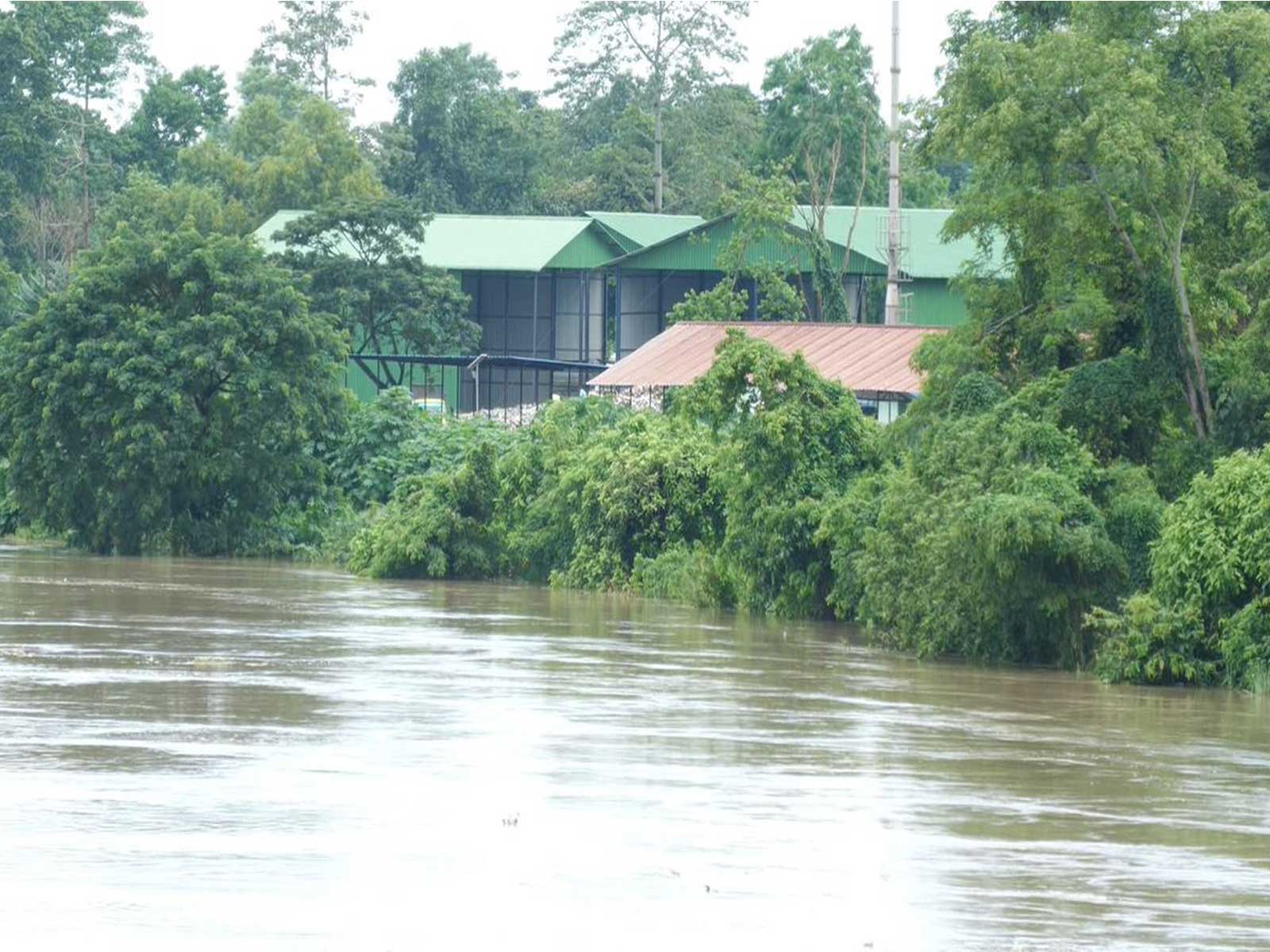 Flood affects parts of Golaghat district in Assam (Photo\ANI)