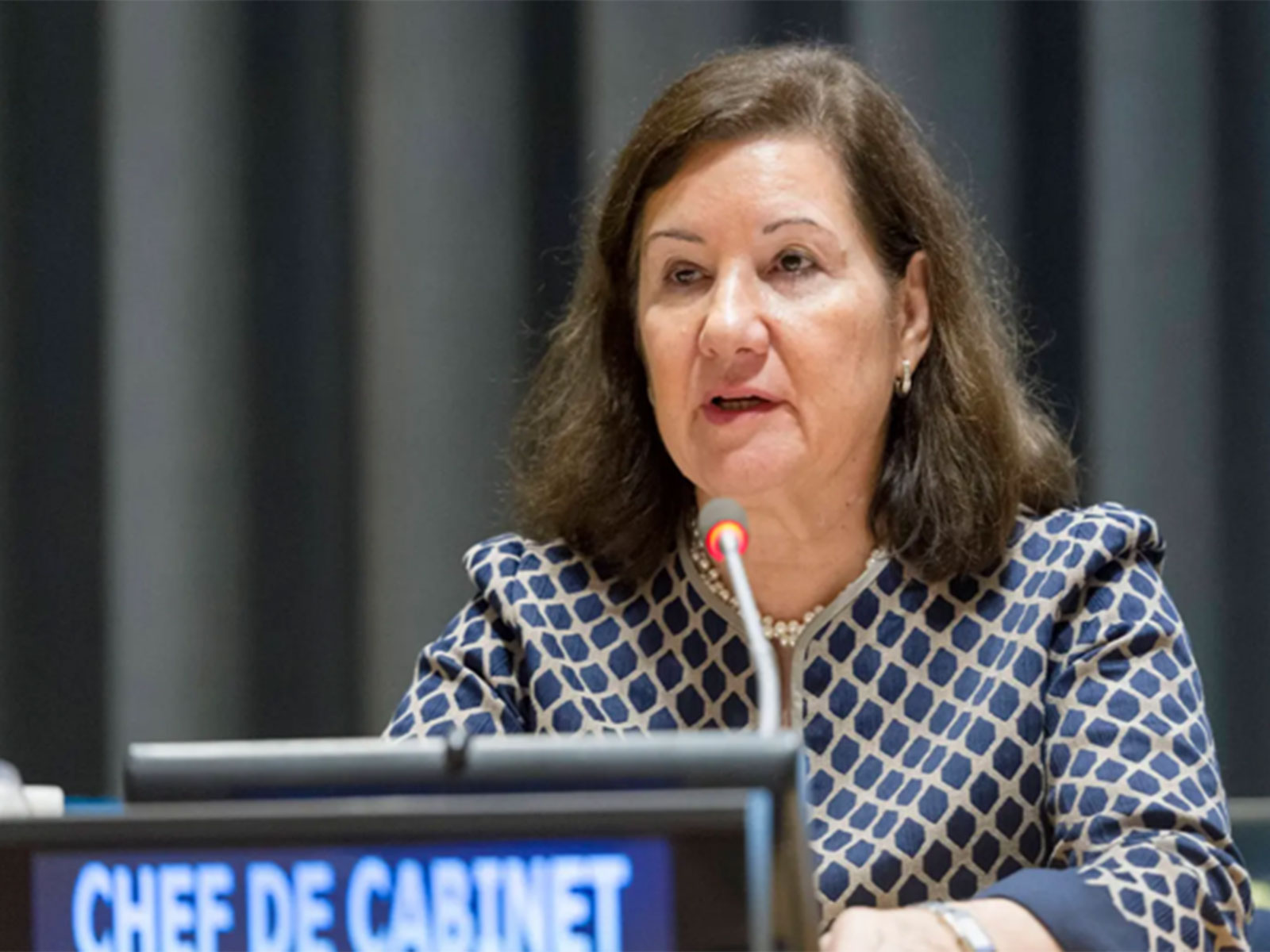 Brazilian Ambassador to the US Maria Luiza Viotti (Photo/Brasil 247)