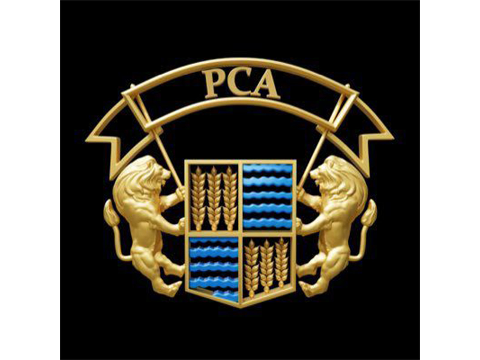 Punjab Cricket Association logo (Photo/@pcacricket)