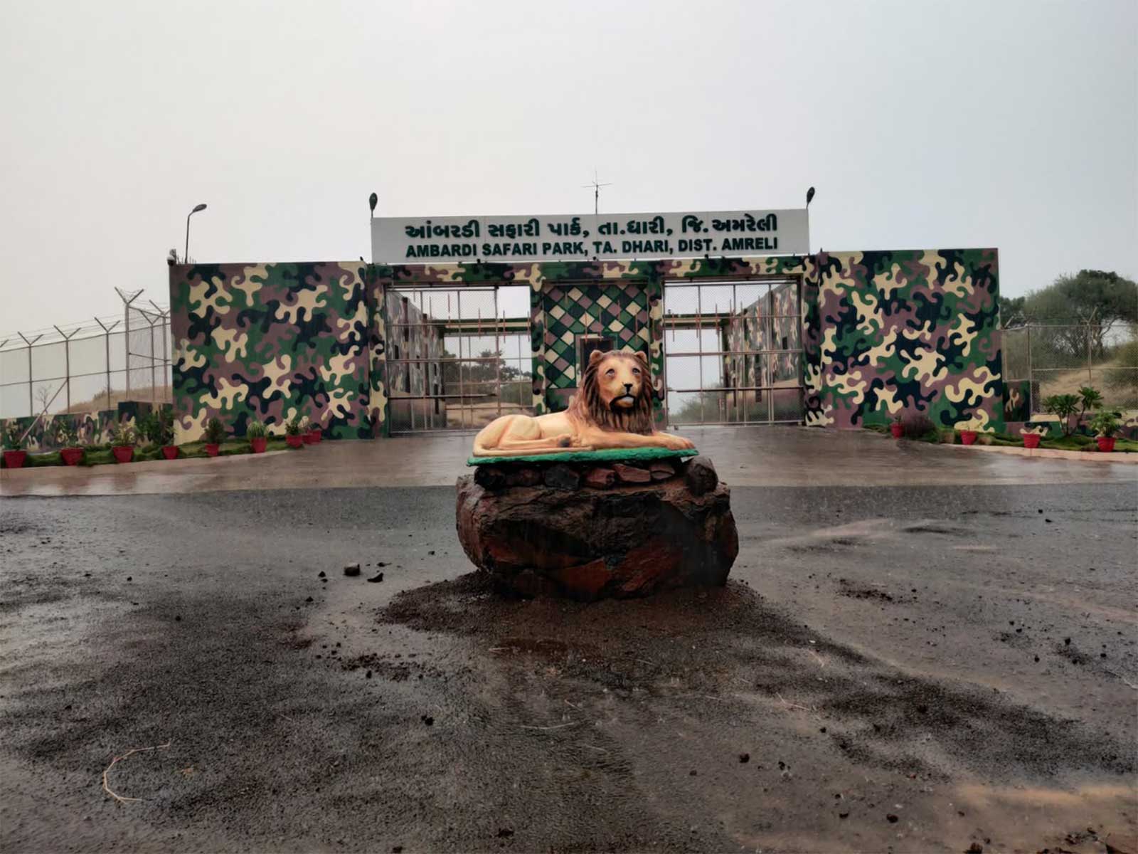 Ambardi Safari Park (Photo/Gujarat CMO)