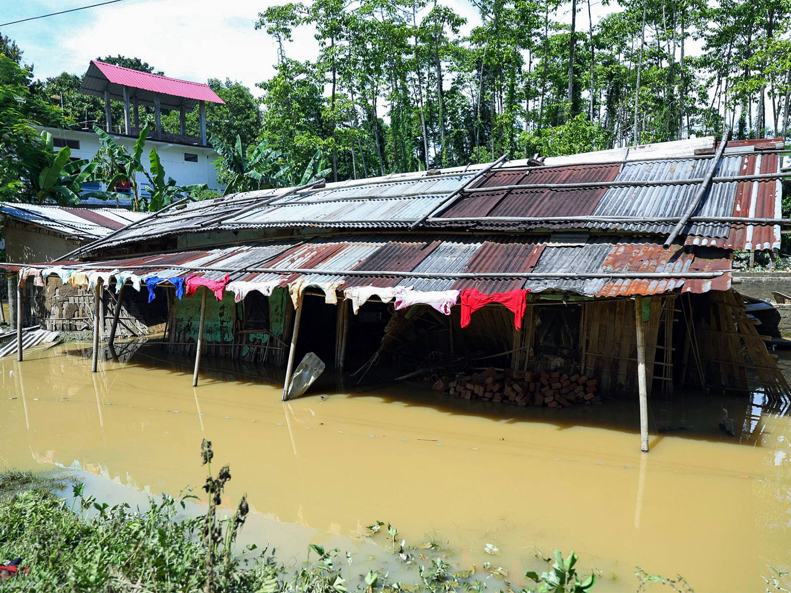Assam floods leave rural homes and structures submerged in Sivasagar (Photo/ANI)