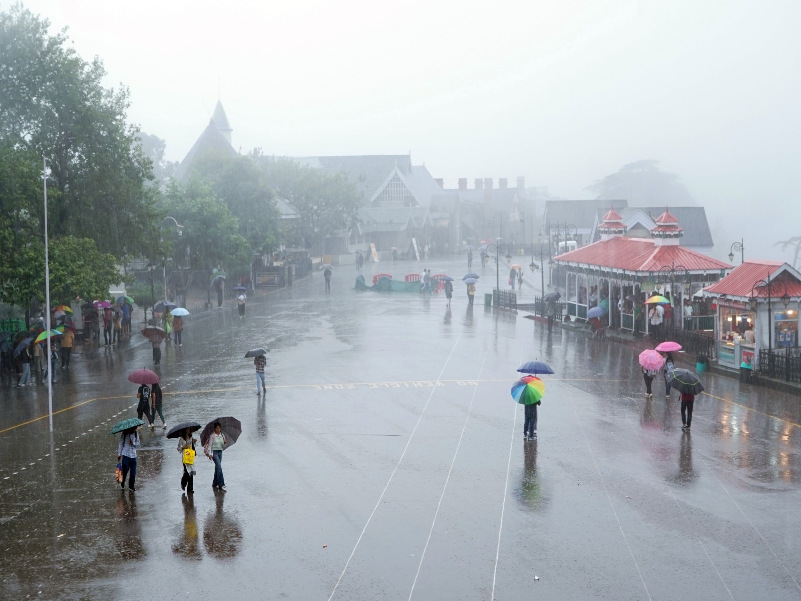 People using umbrella to walk in the rain in Shimla (Photo/ANI)