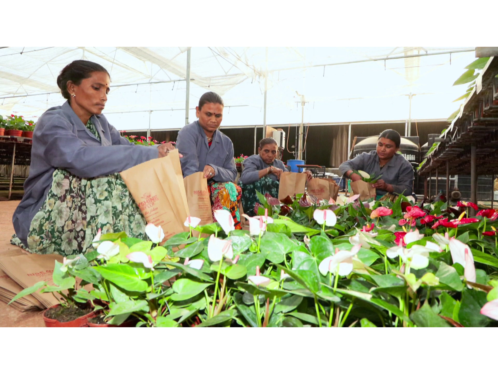 Young innovators drive India's next agricultural revolution (Photo/ANI)