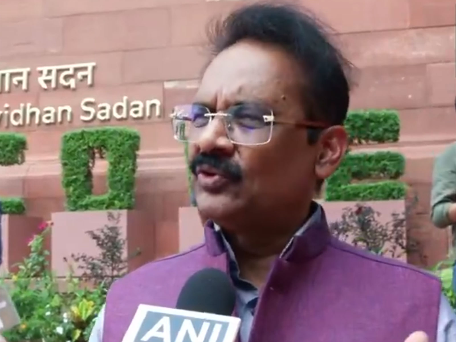 BJP MP Ashok Kumar Mittal (Photo/ANI)