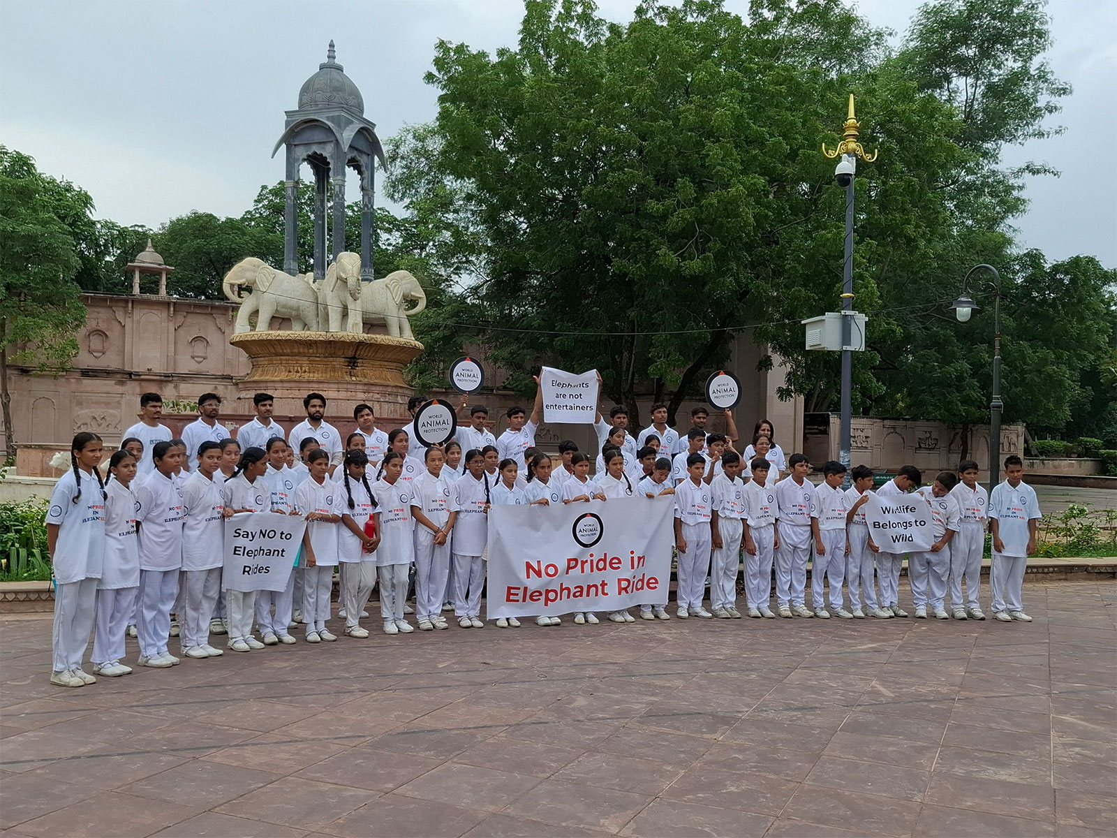 Citizens raising awareness on wild elephants and captive Amer Fort elephants in Jaipur at Patrika Gate Photograph: Shubhobroto Ghosh