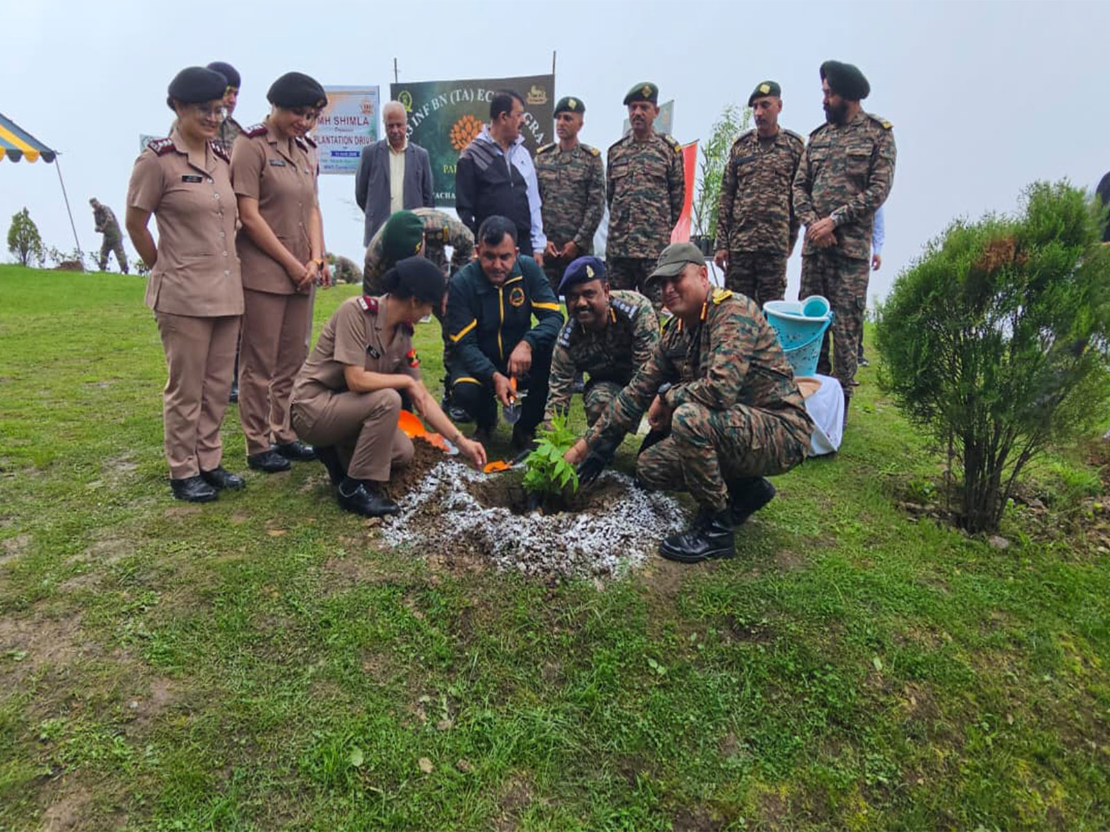 A visual from Community plantation drive 'Ek Ped Sehat Ke Naam' (Photo/DPRO Shimla)