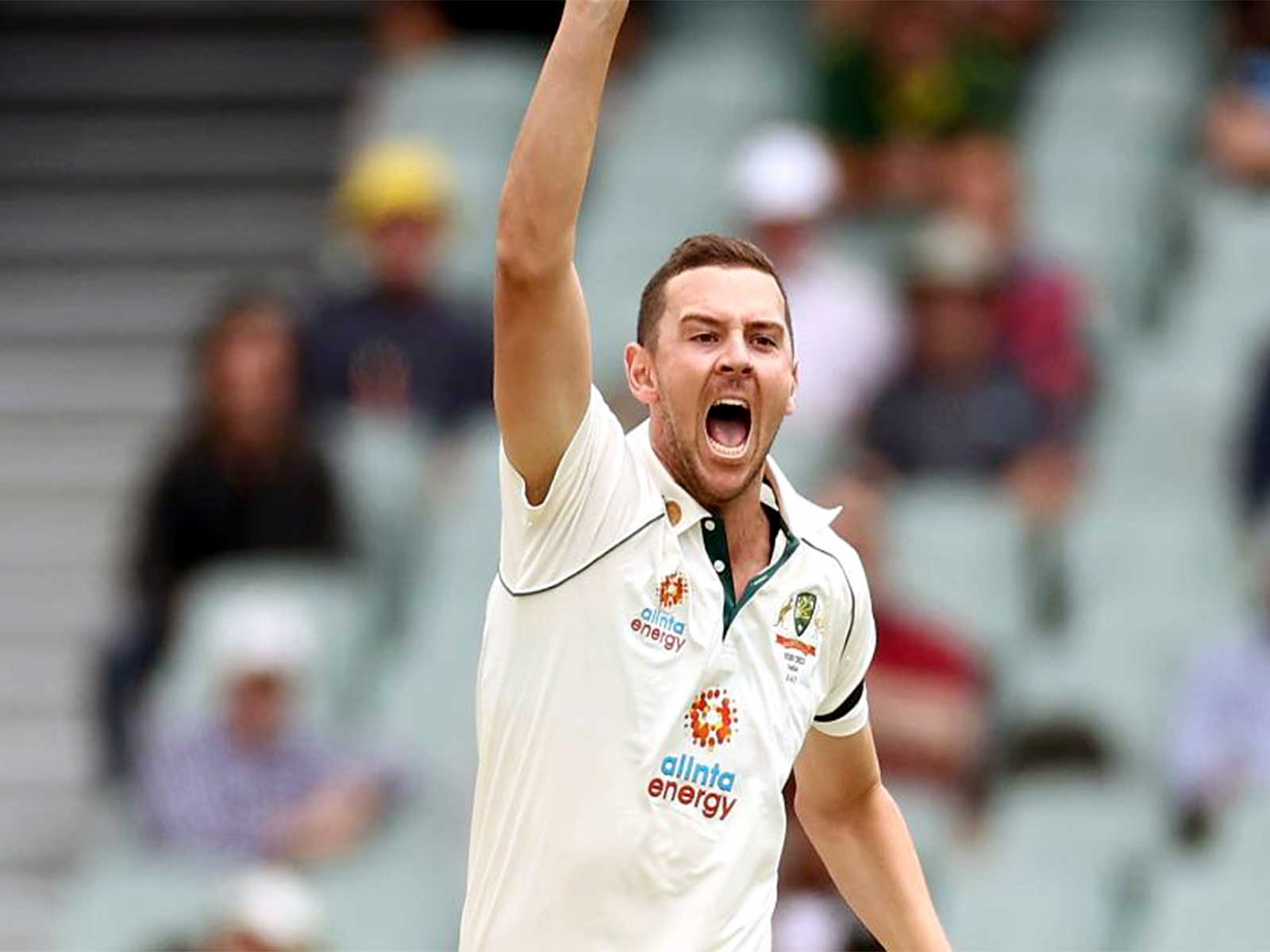 Australia pacer Josh Hazlewood (File Photo: ANI)