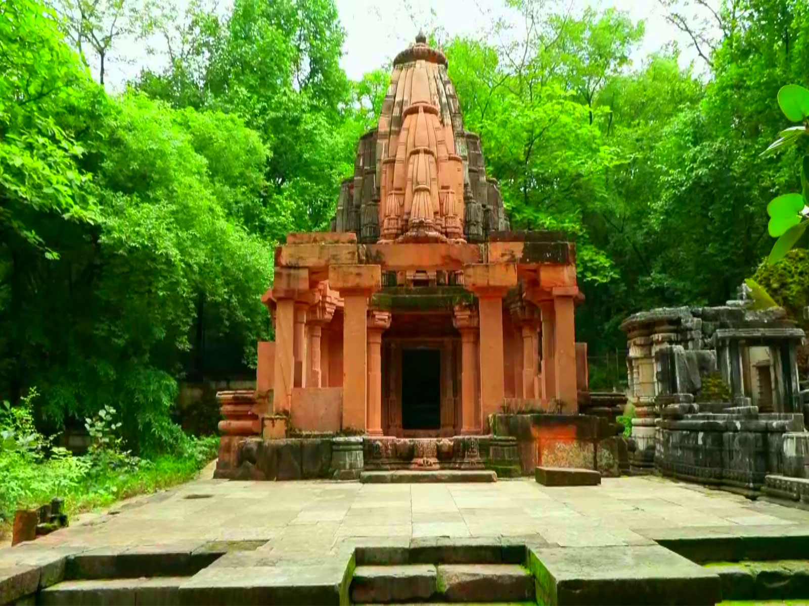 Polo Forest blends monsoon beauty, heritage and community-led tourism in Gujarat (Photo/ANI)
