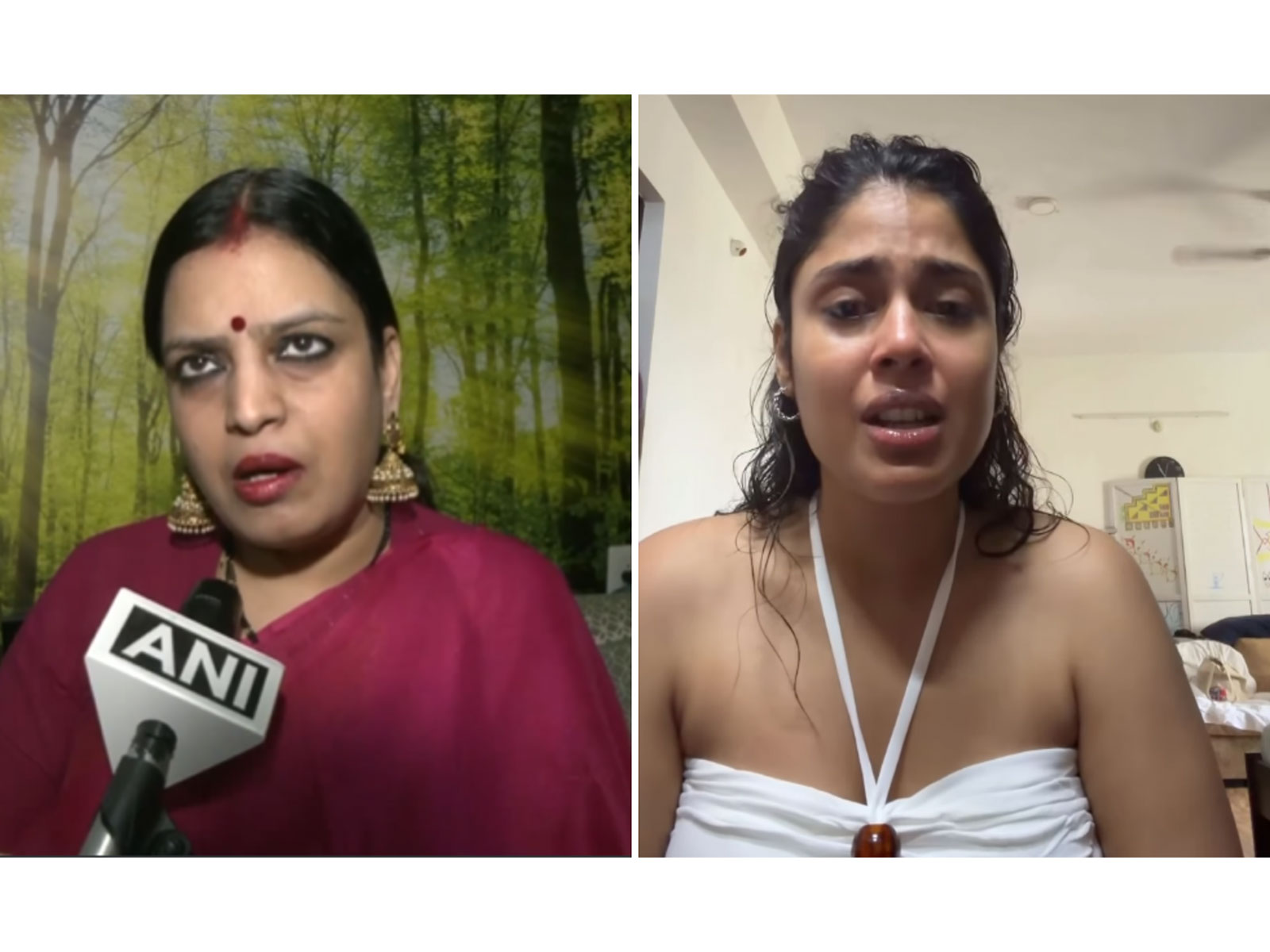VHRP National Mahila President Yamuna Pathak (L)  Faria Abdullah (R) (Photos/ANI/@instagram/@fariaabdullah)