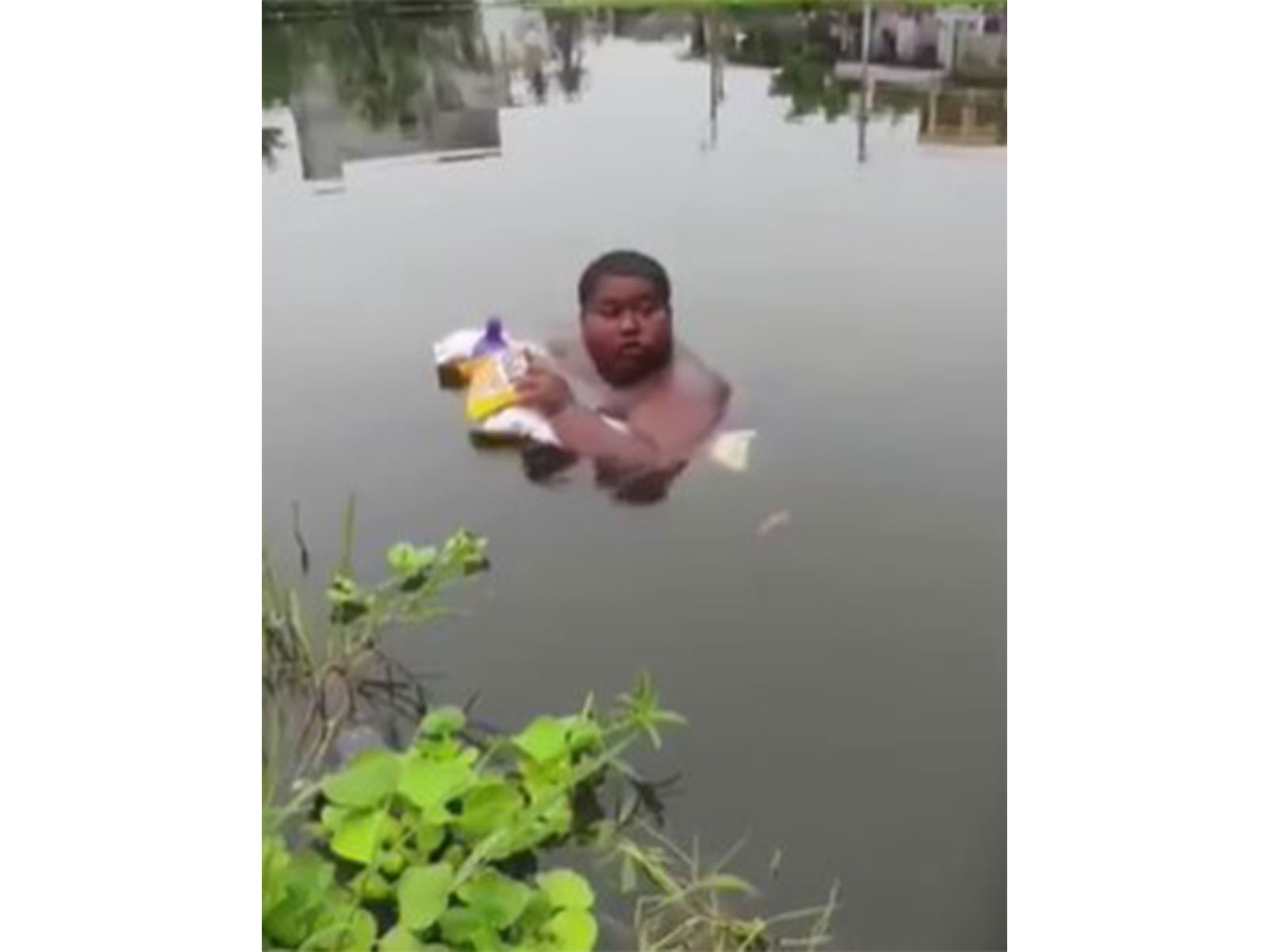 Screengrab of Viral Video (Photo/Viral Video)