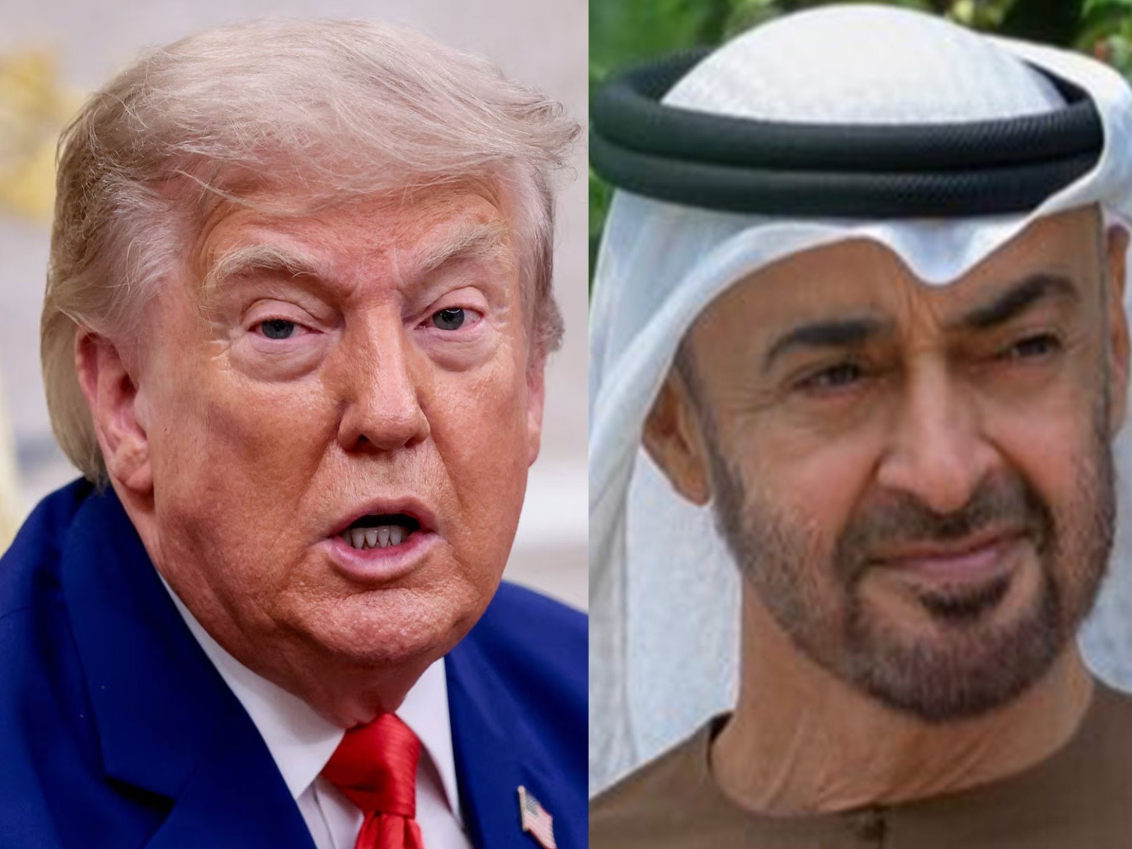 US President Donald Trump (File Photo/Reuters) and UAE President Mohamed bin Zayed Al Nahyan (Photo/x/@MohamedBinZayed)
