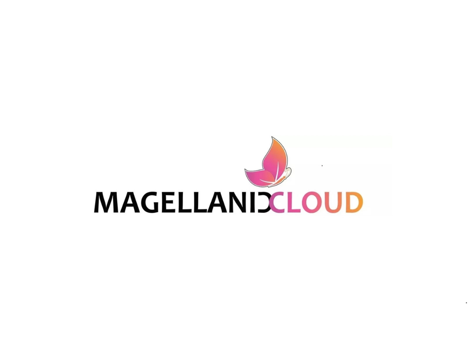 Magellanic Cloud's Order Momentum Accelerates with ₹8.90 Crore DFCCIL Win, Further Strengthening Growth Momentum