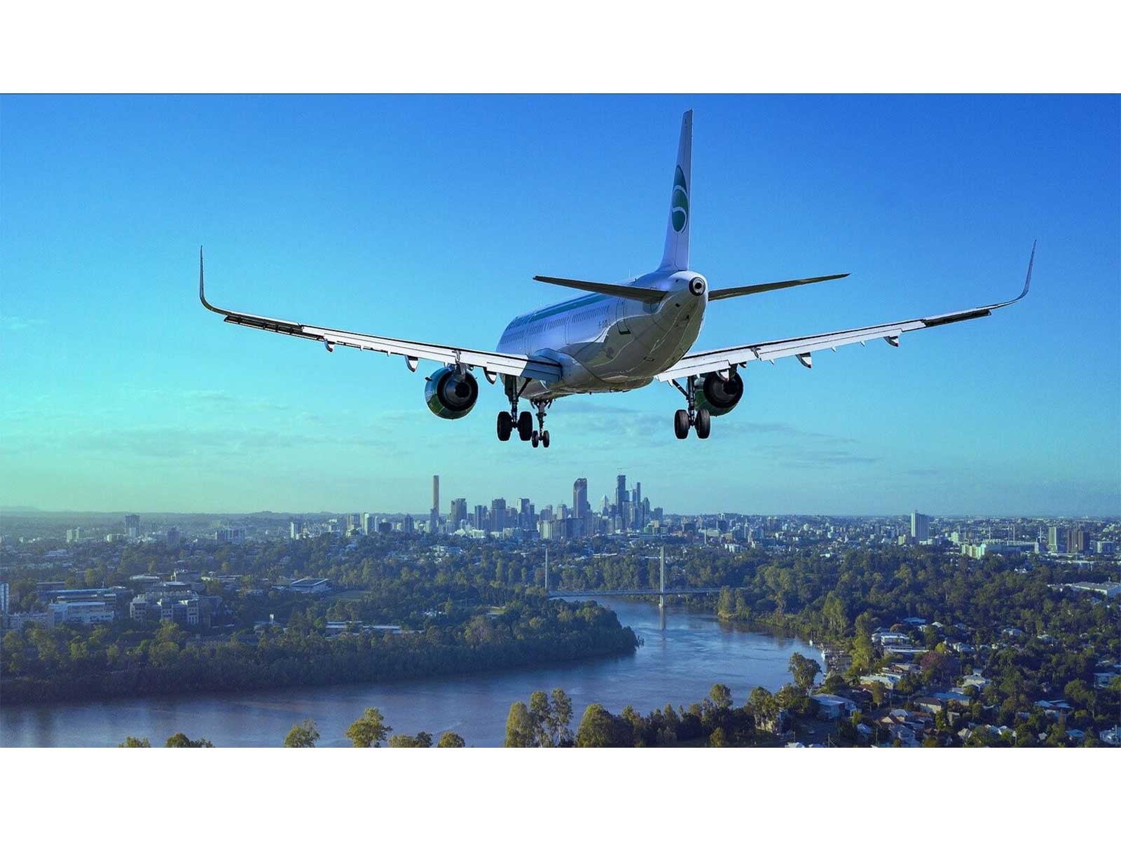 Where to Find the Best Flight Options Before Booking Your Next Trip