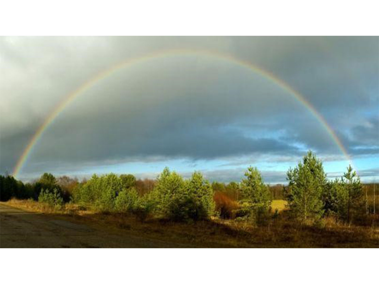 Building Global Applications with Reliable Weather Data
