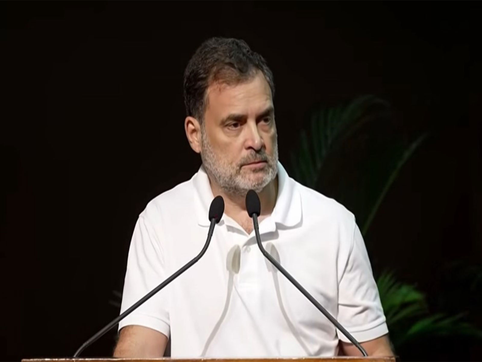 Leader of Opposition in the Lok Sabha Rahul Gandhi (Photo/Congress)
