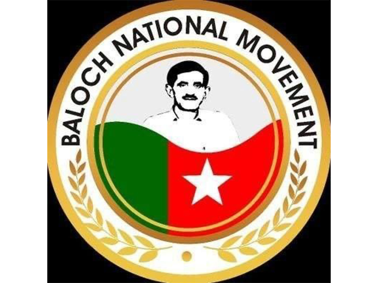 Official emblem of the Baloch National Movement (BNM). (Photo/X/@BNMovement_)